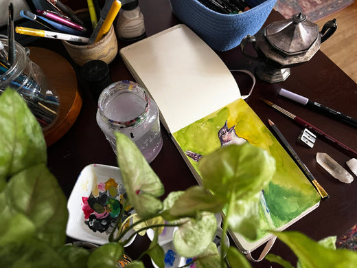 Studio Update: Over a Year Of Drawing Birds
