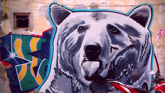 Winter Makes Me an Angry Bear Bitch