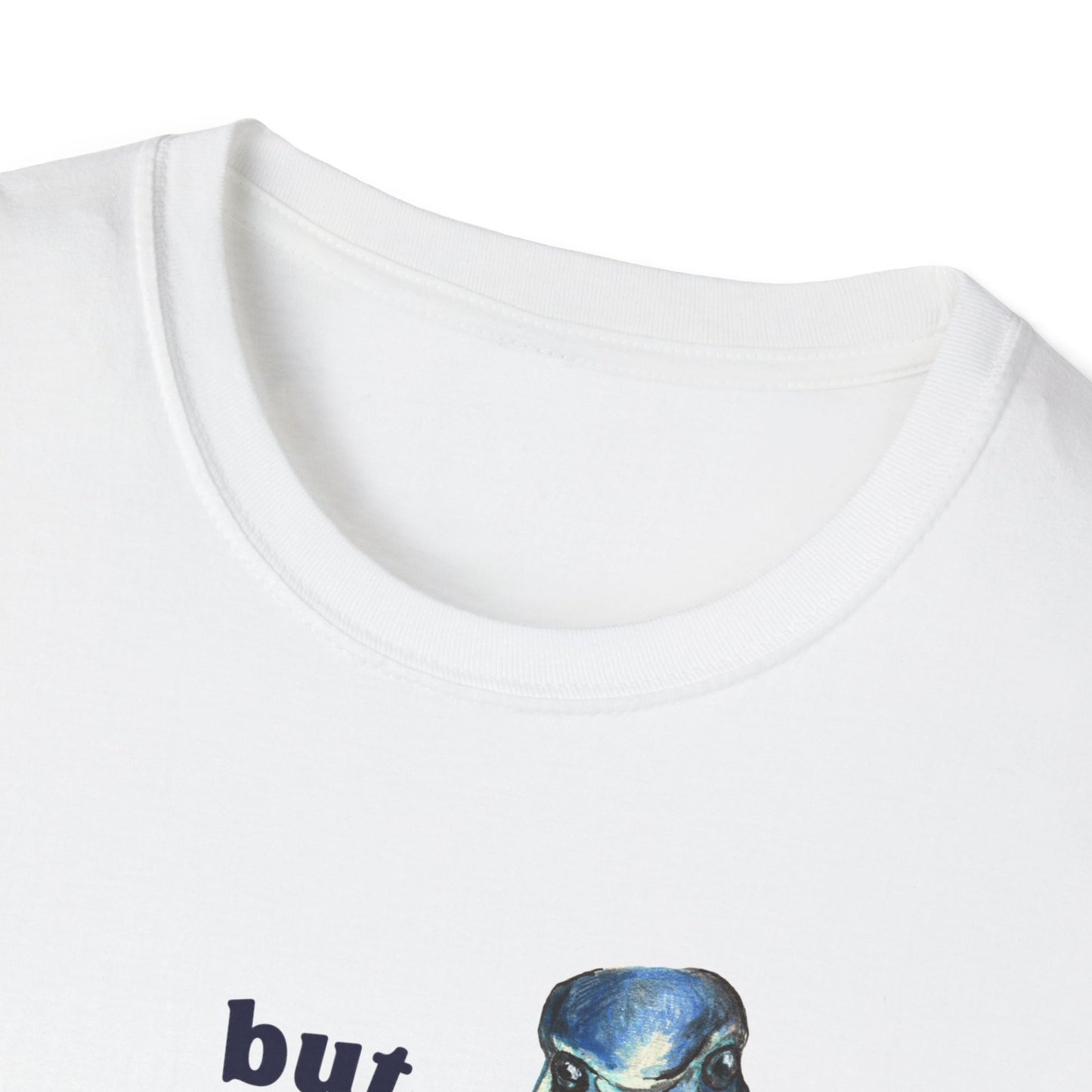 But What If I'm Not Silly Enough: Mental Health Shirt