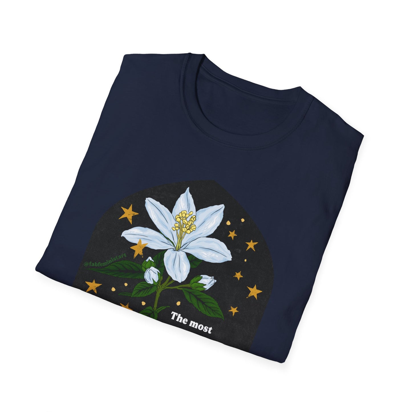 The most common way people give up their power is by thinking they don't have any, Alice Walker: Feminist Shirt