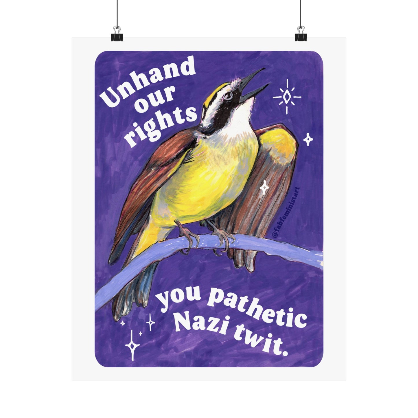 Unhand our rights you nazi twit: feminist art print