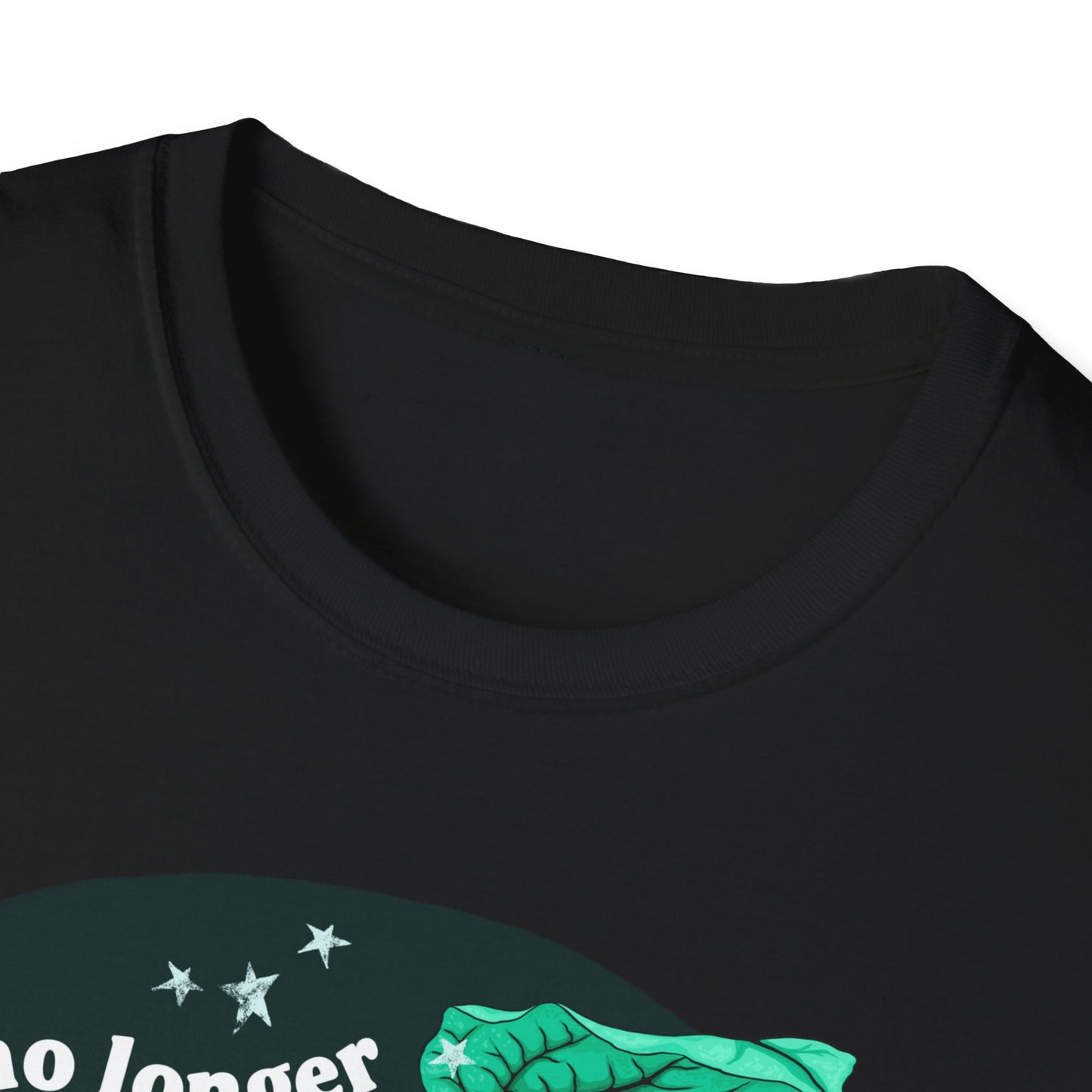 I am no longer accepting the things I cannot change, Angela Davis: Feminist Shirt