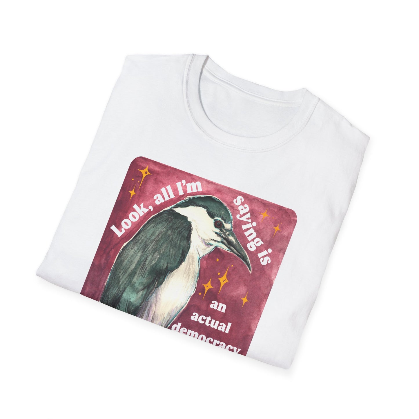 Look, all I'm saying is an actual democracy shouldn't be too much to ask for: Feminist Shirt