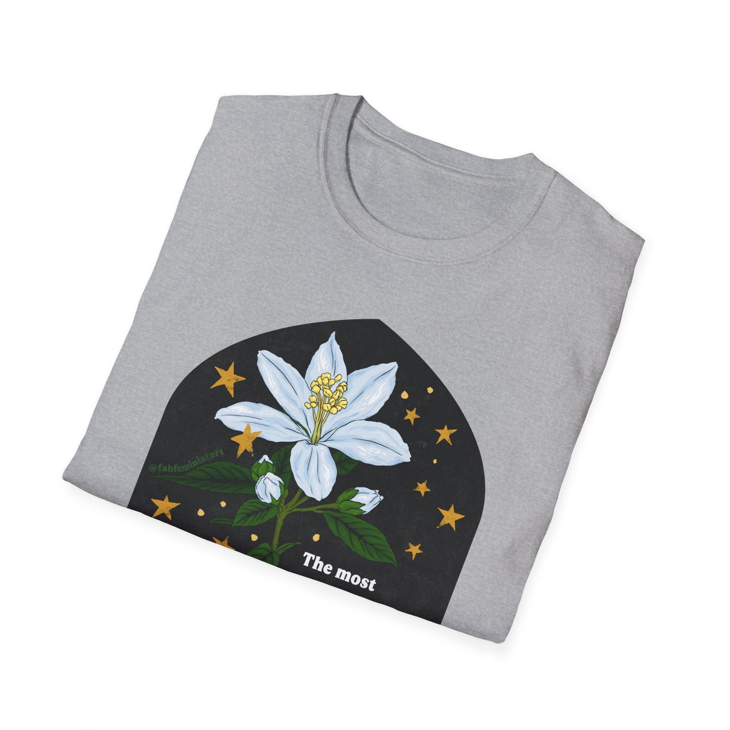 The most common way people give up their power is by thinking they don't have any, Alice Walker: Feminist Shirt