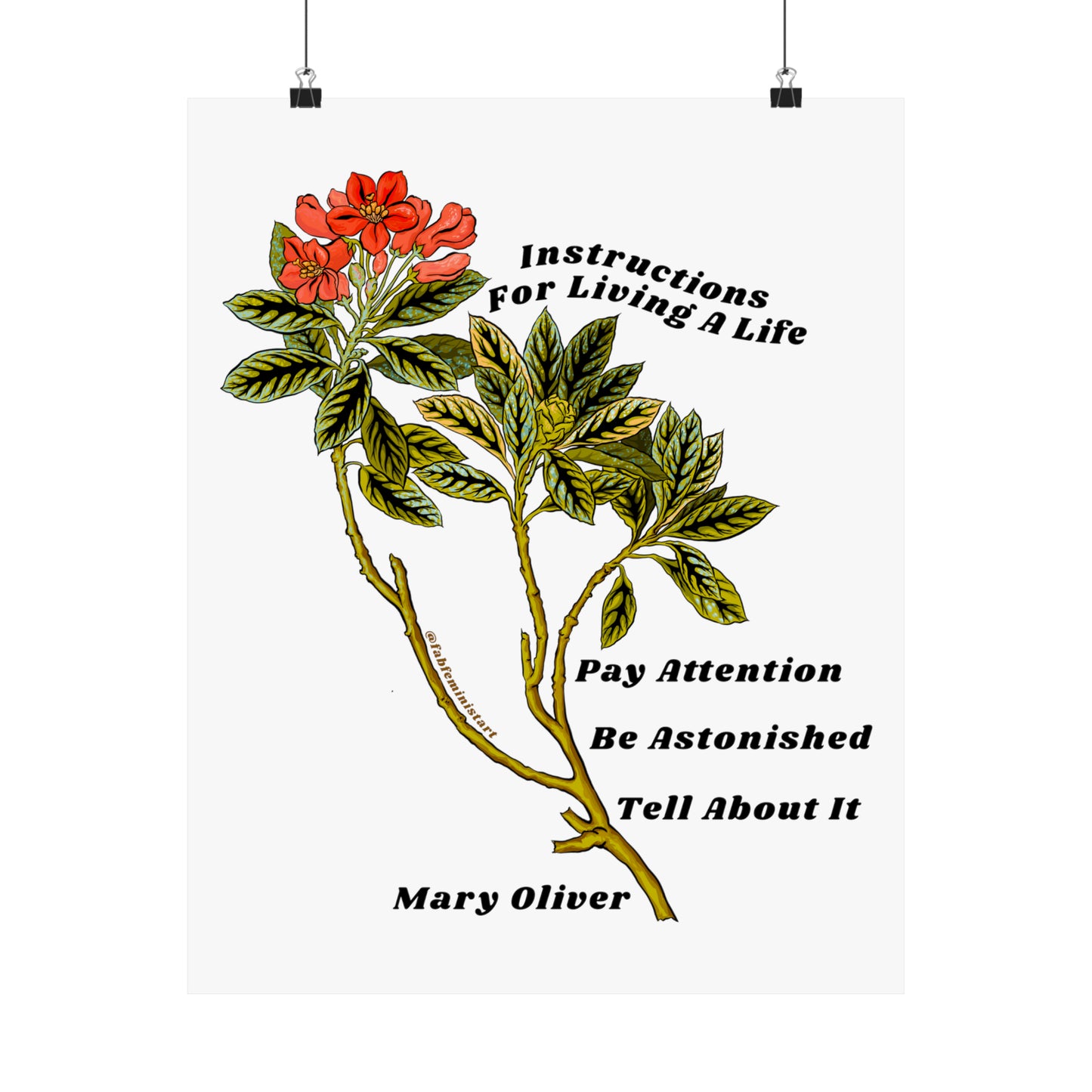 Instructions For Living A Life, Mary Oliver: Mental Health Poster