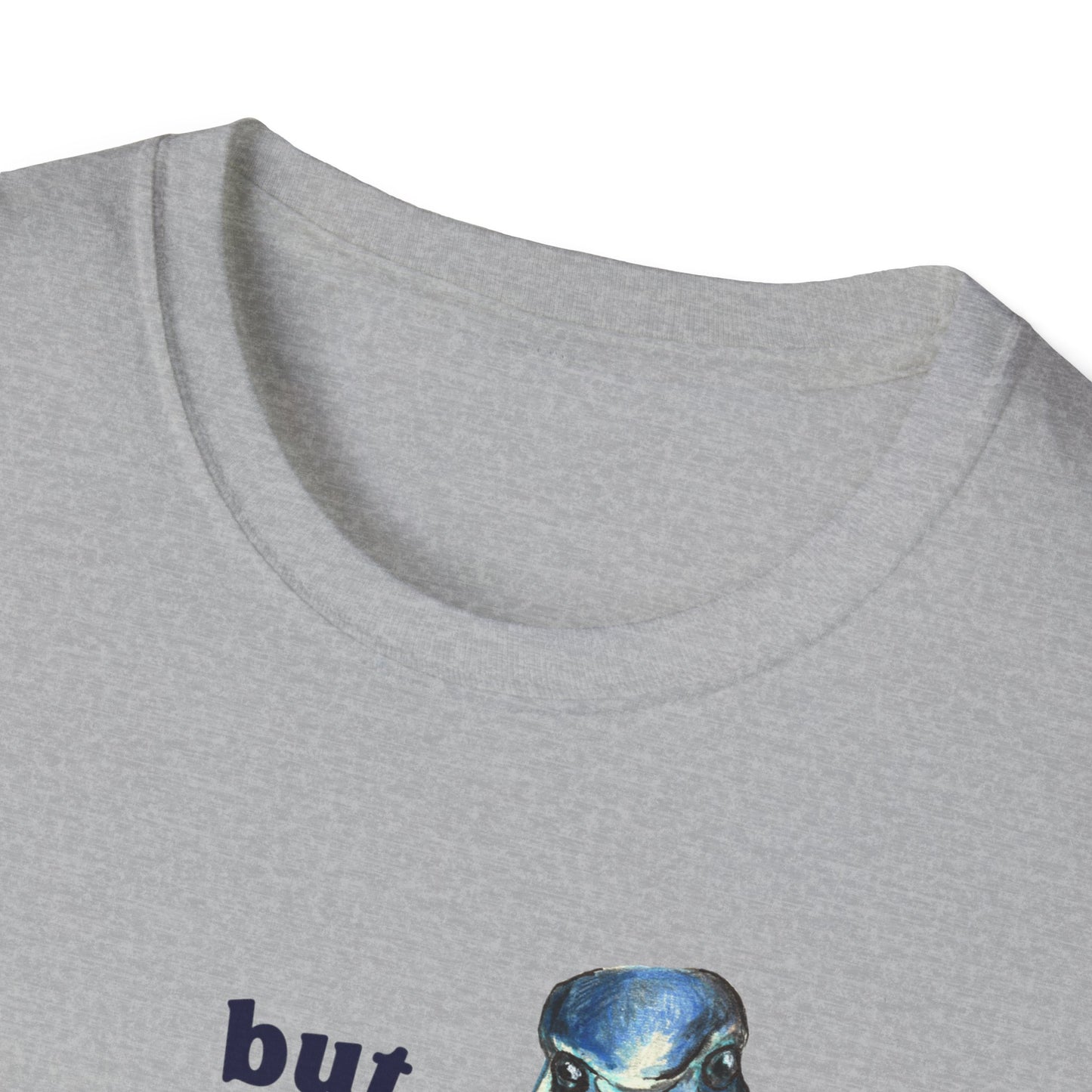 But What If I'm Not Silly Enough: Mental Health Shirt