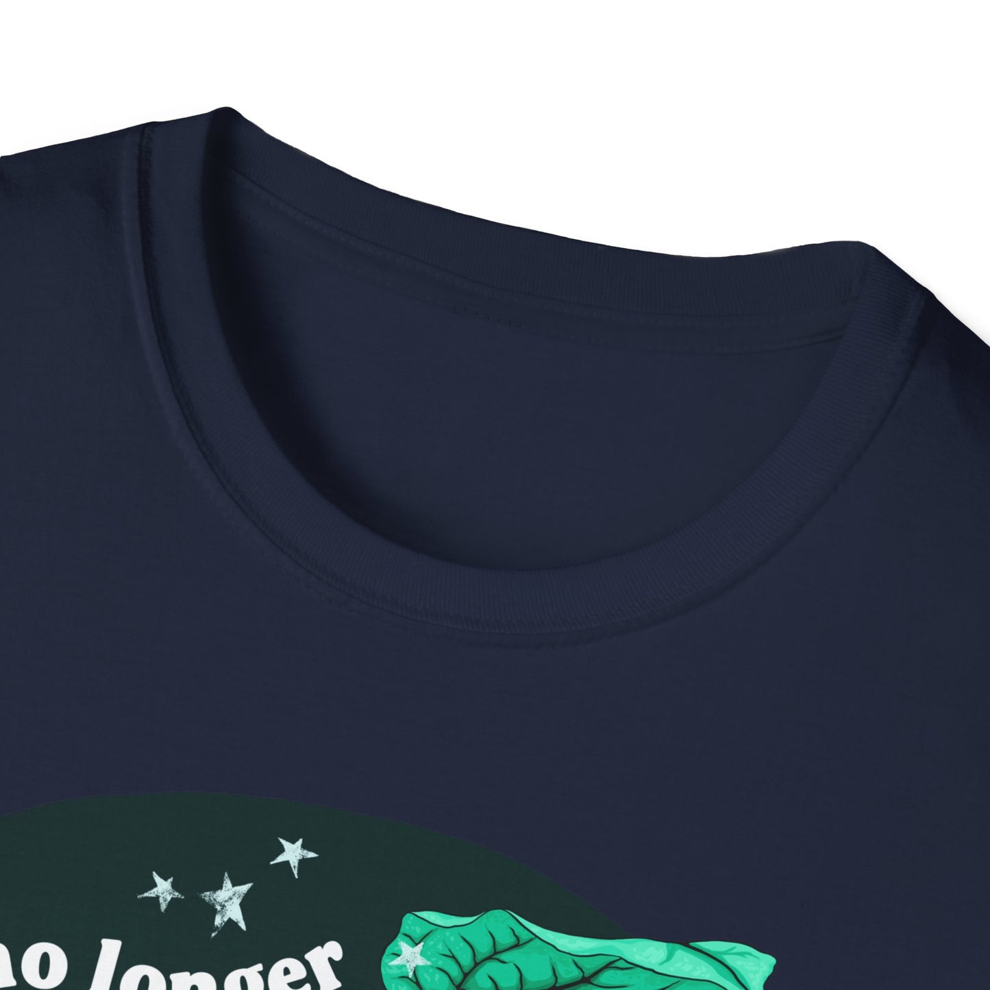 I am no longer accepting the things I cannot change, Angela Davis: Feminist Shirt