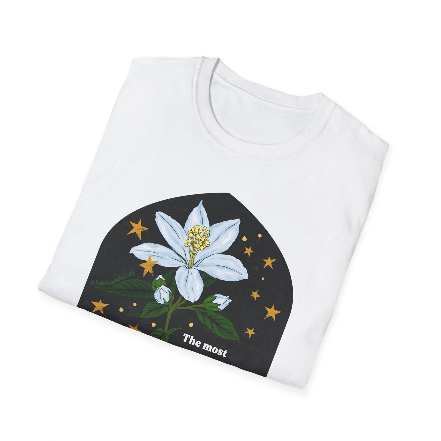 The most common way people give up their power is by thinking they don't have any, Alice Walker: Feminist Shirt