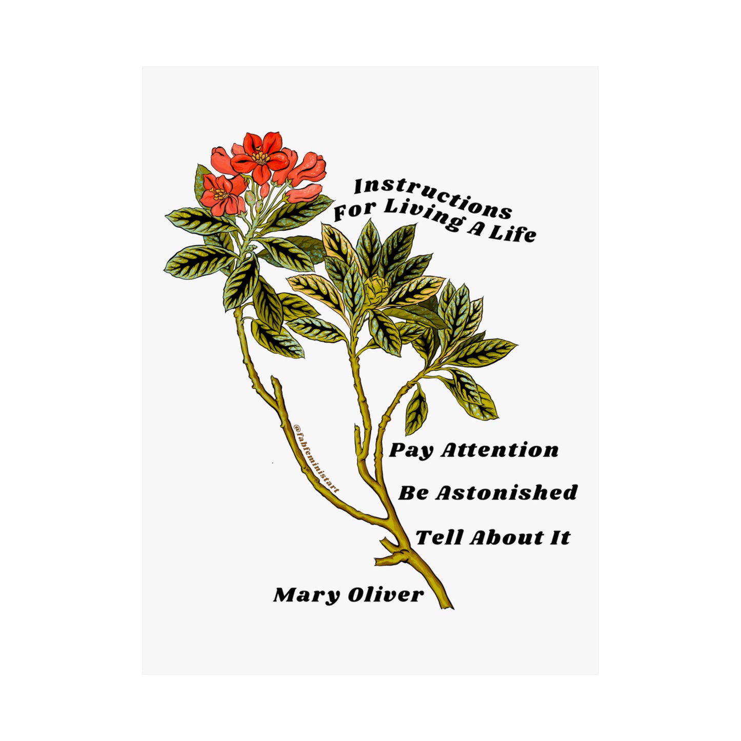 Instructions For Living A Life, Mary Oliver: Mental Health Poster