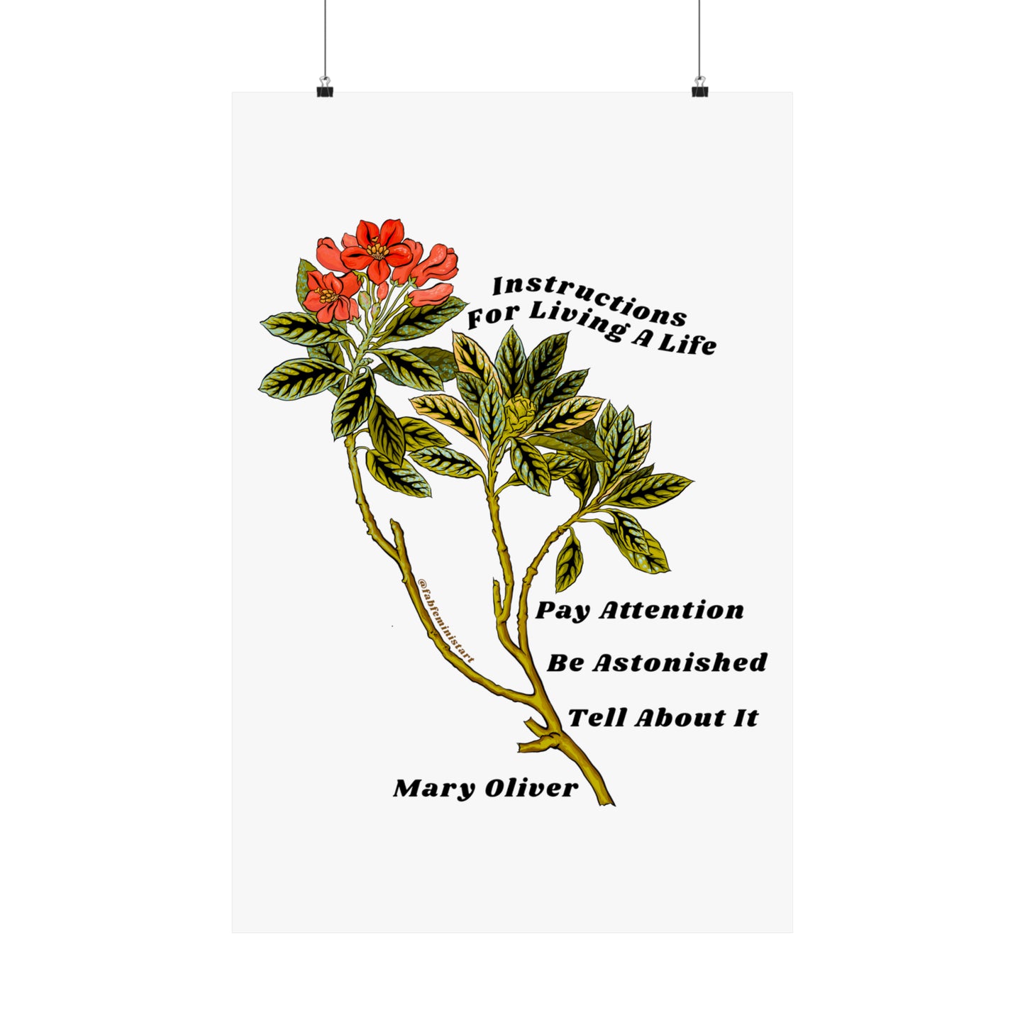Instructions For Living A Life, Mary Oliver: Mental Health Poster
