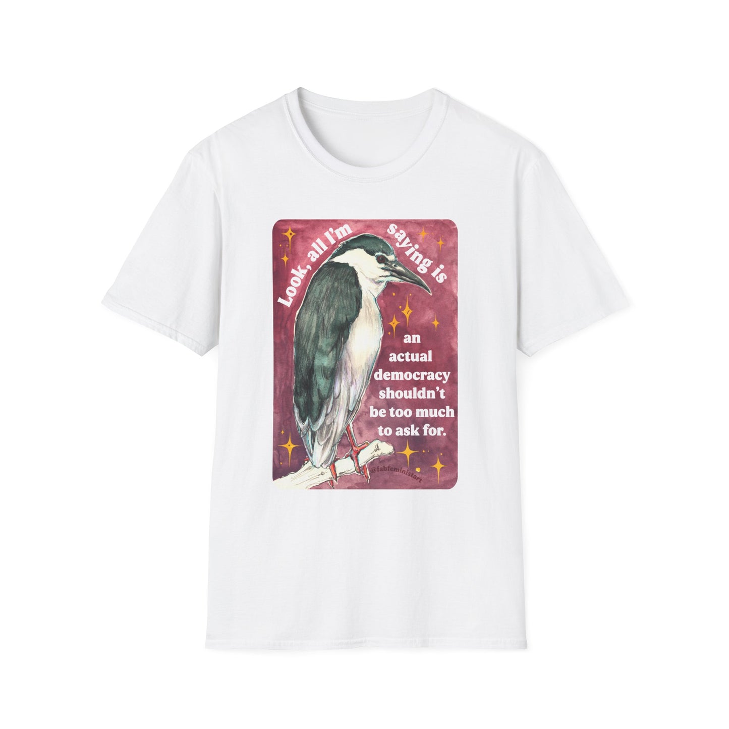 Look, all I'm saying is an actual democracy shouldn't be too much to ask for: Feminist Shirt
