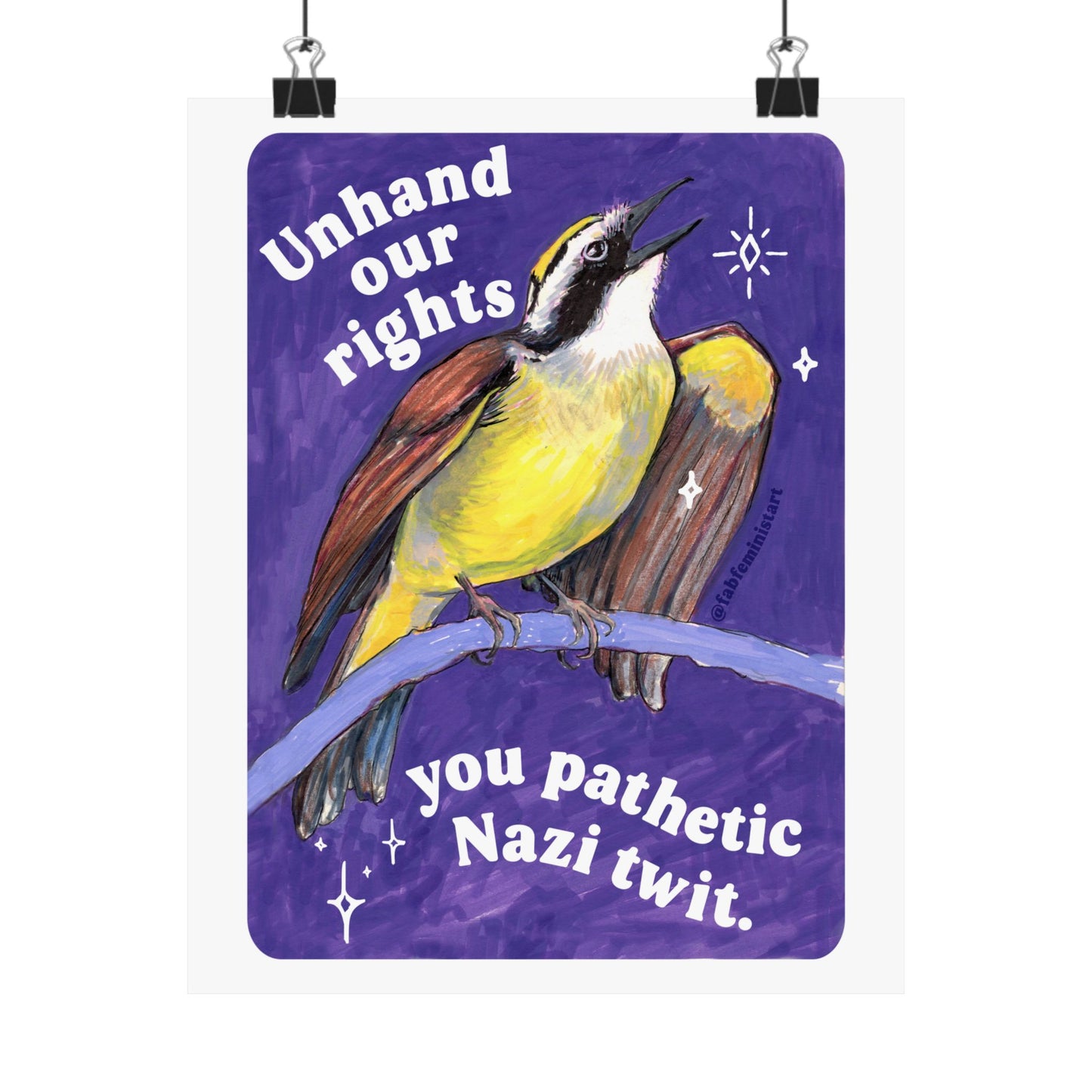 Unhand our rights you nazi twit: feminist art print