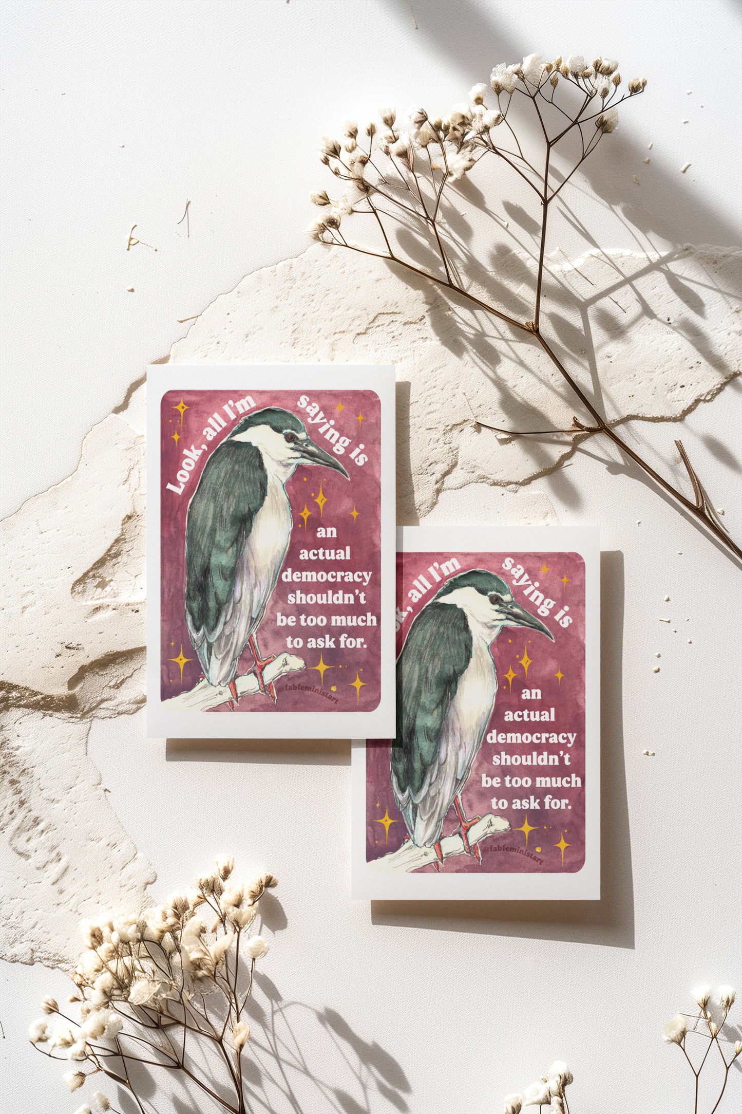 Look, all I'm saying is an actual democracy shouldn't be too much to ask for: Feminist Art Print