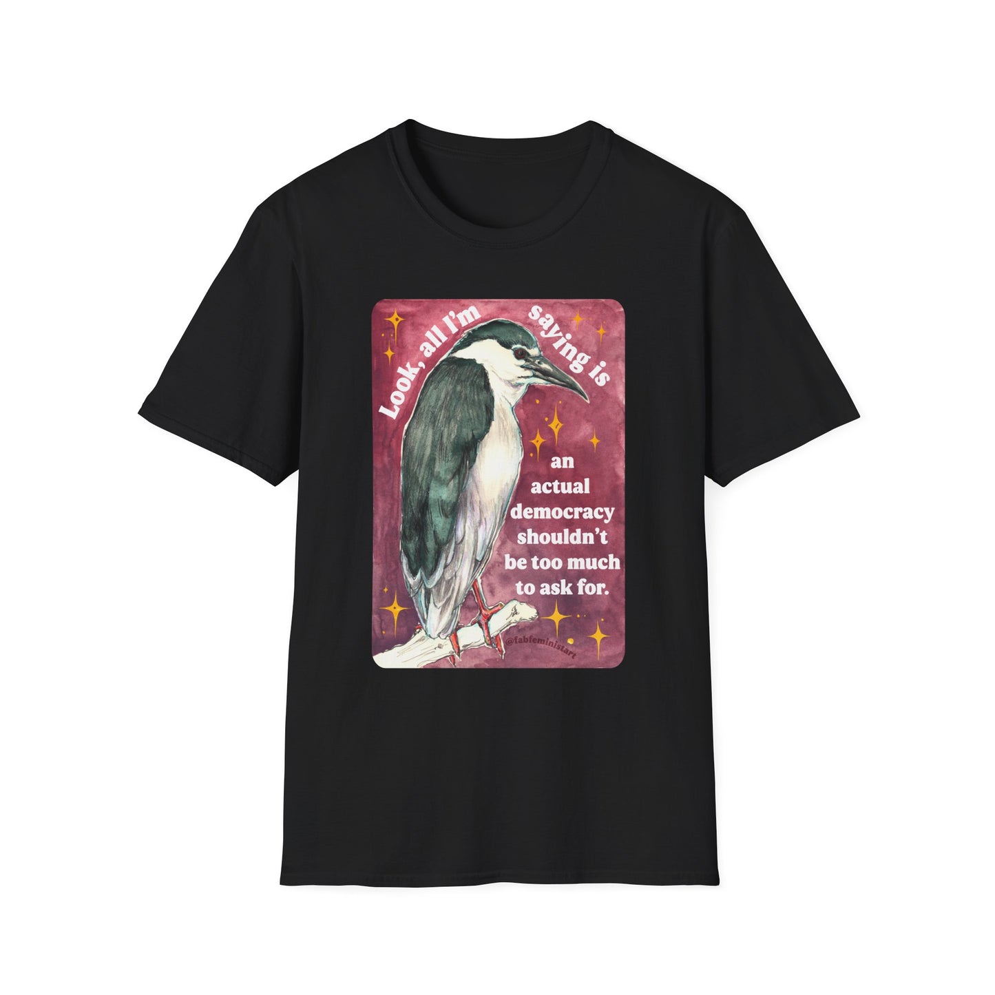 Look, all I'm saying is an actual democracy shouldn't be too much to ask for: Feminist Shirt