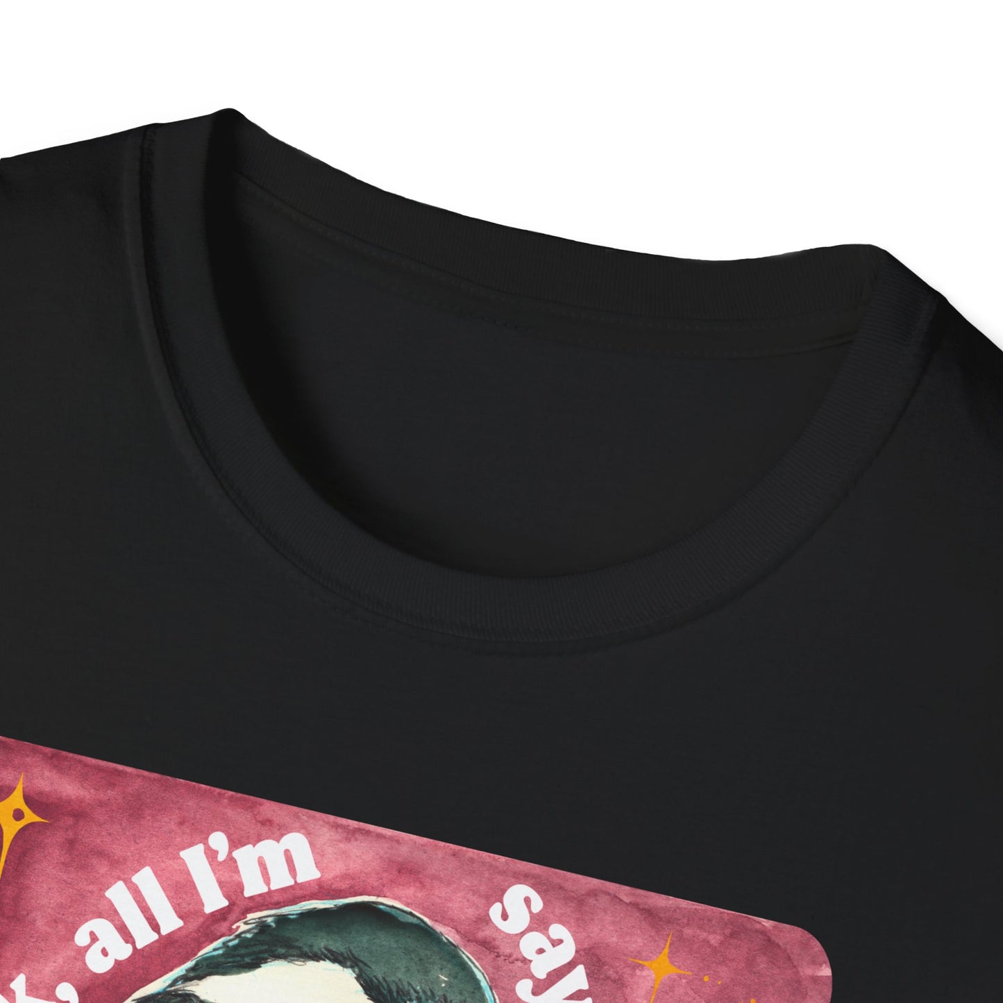 Look, all I'm saying is an actual democracy shouldn't be too much to ask for: Feminist Shirt