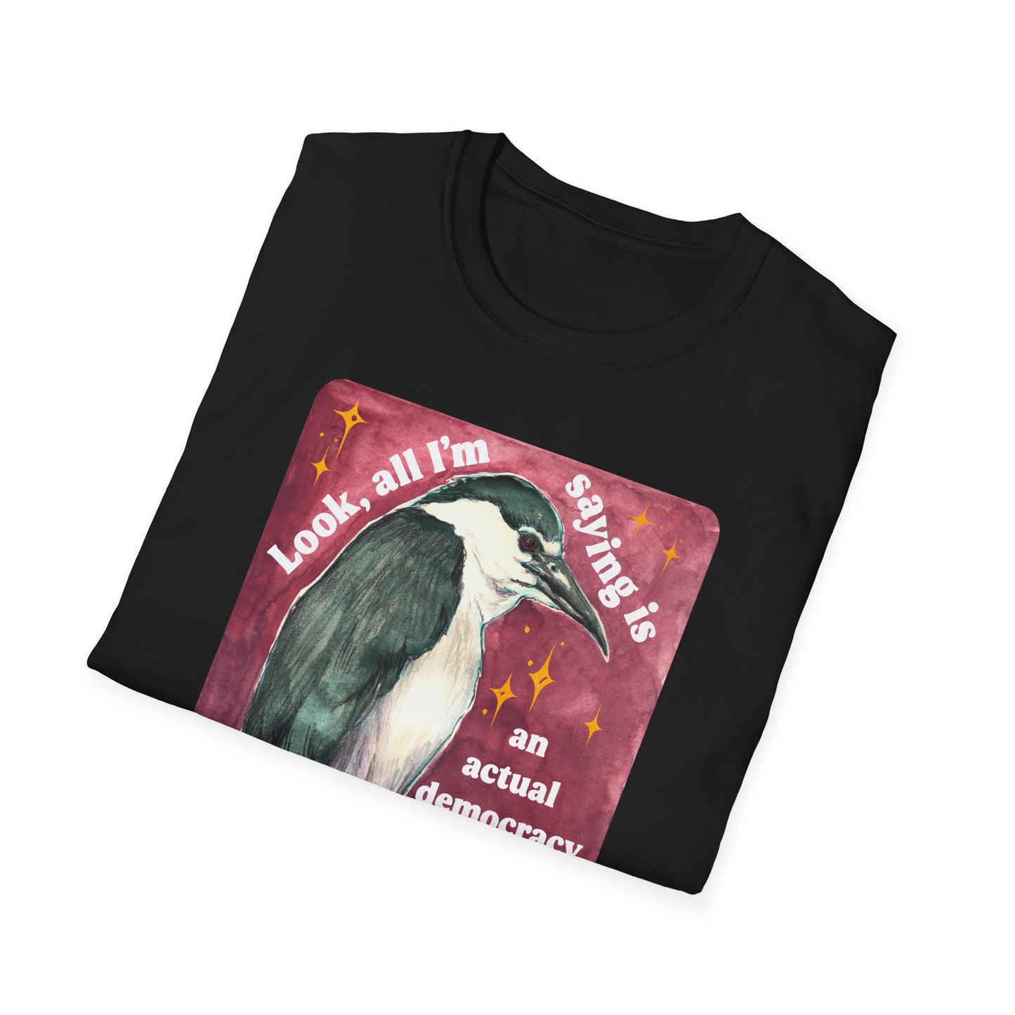 Look, all I'm saying is an actual democracy shouldn't be too much to ask for: Feminist Shirt