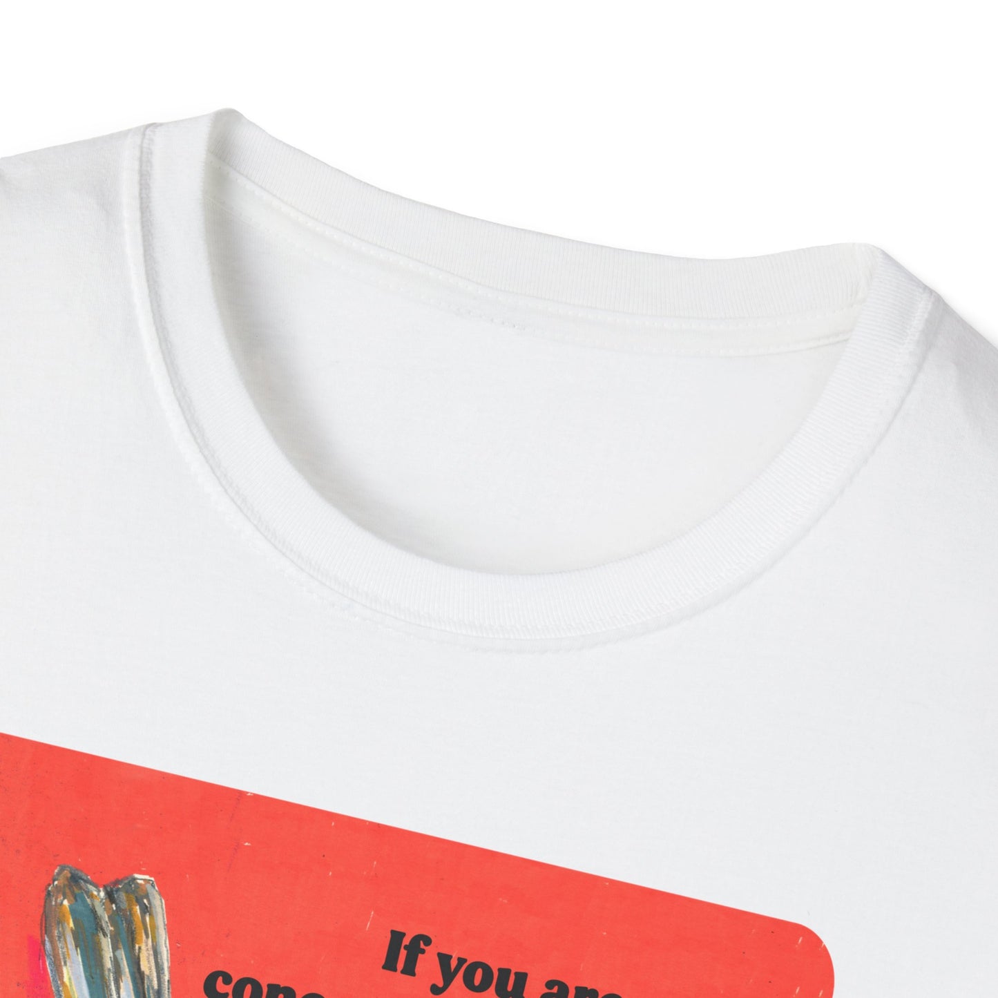 If you are more concerned with trans people existing than naz*s and fasc*sts taking over your country: Feminist Shirt