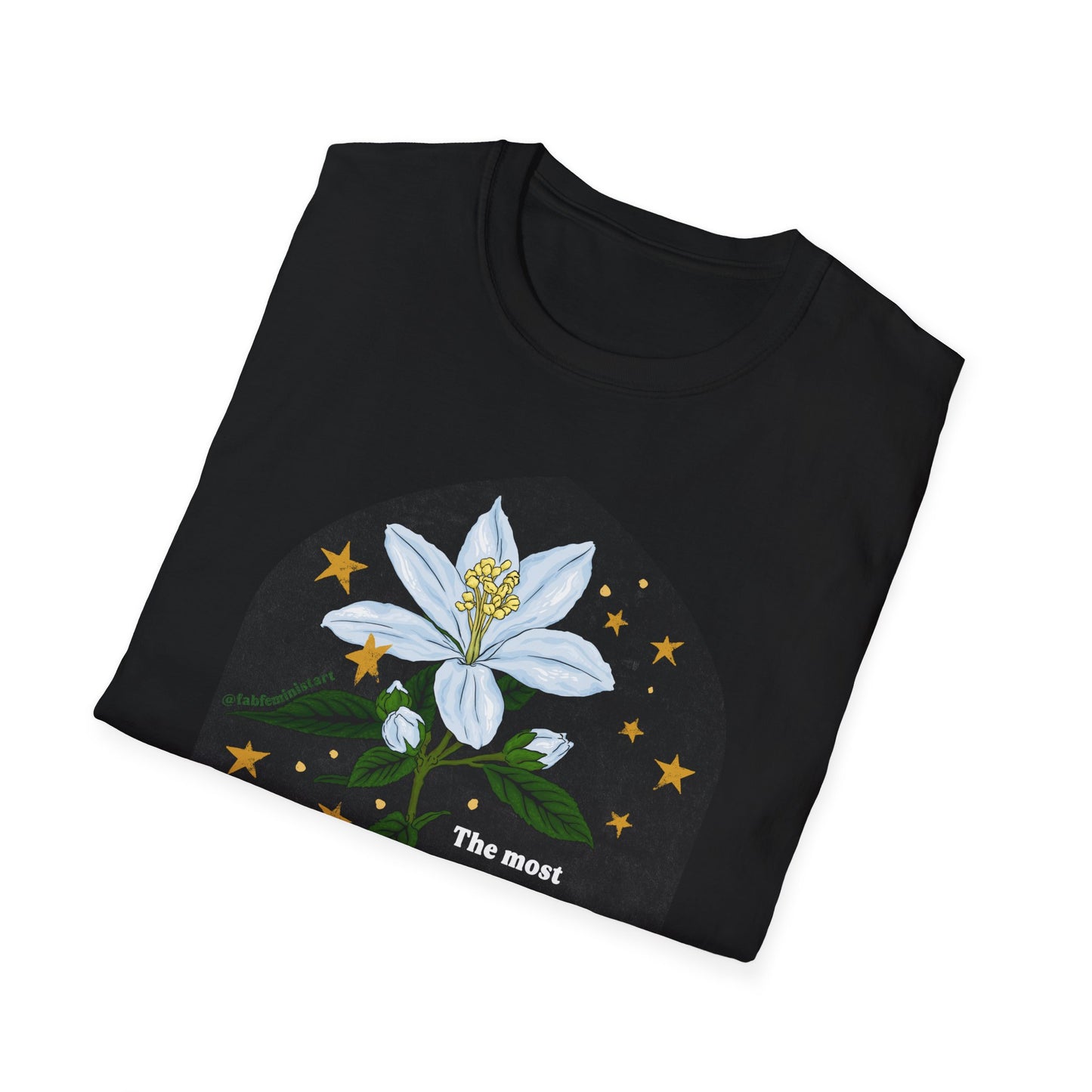The most common way people give up their power is by thinking they don't have any, Alice Walker: Feminist Shirt