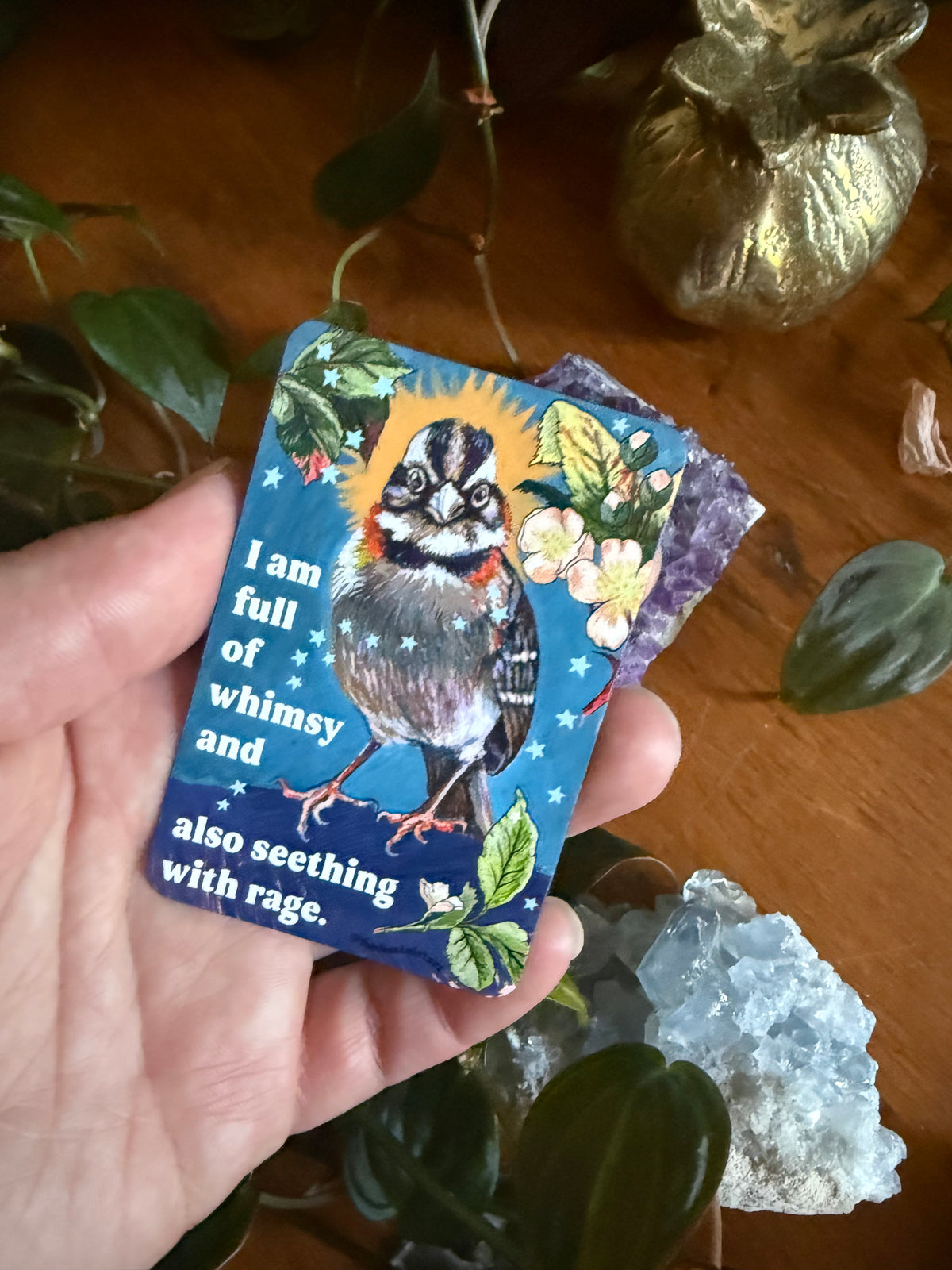 I am full of whimsy and rage: feminist magnet