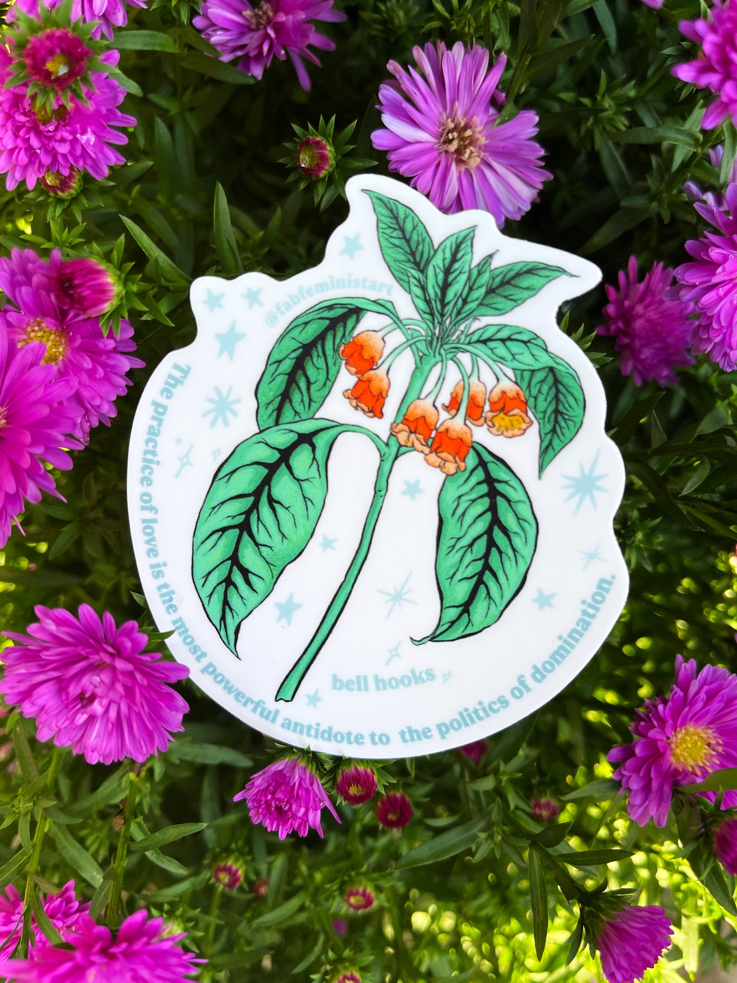 the practice of love is the most powerful antidote to the politics of domination, bell hooks: feminist sticker