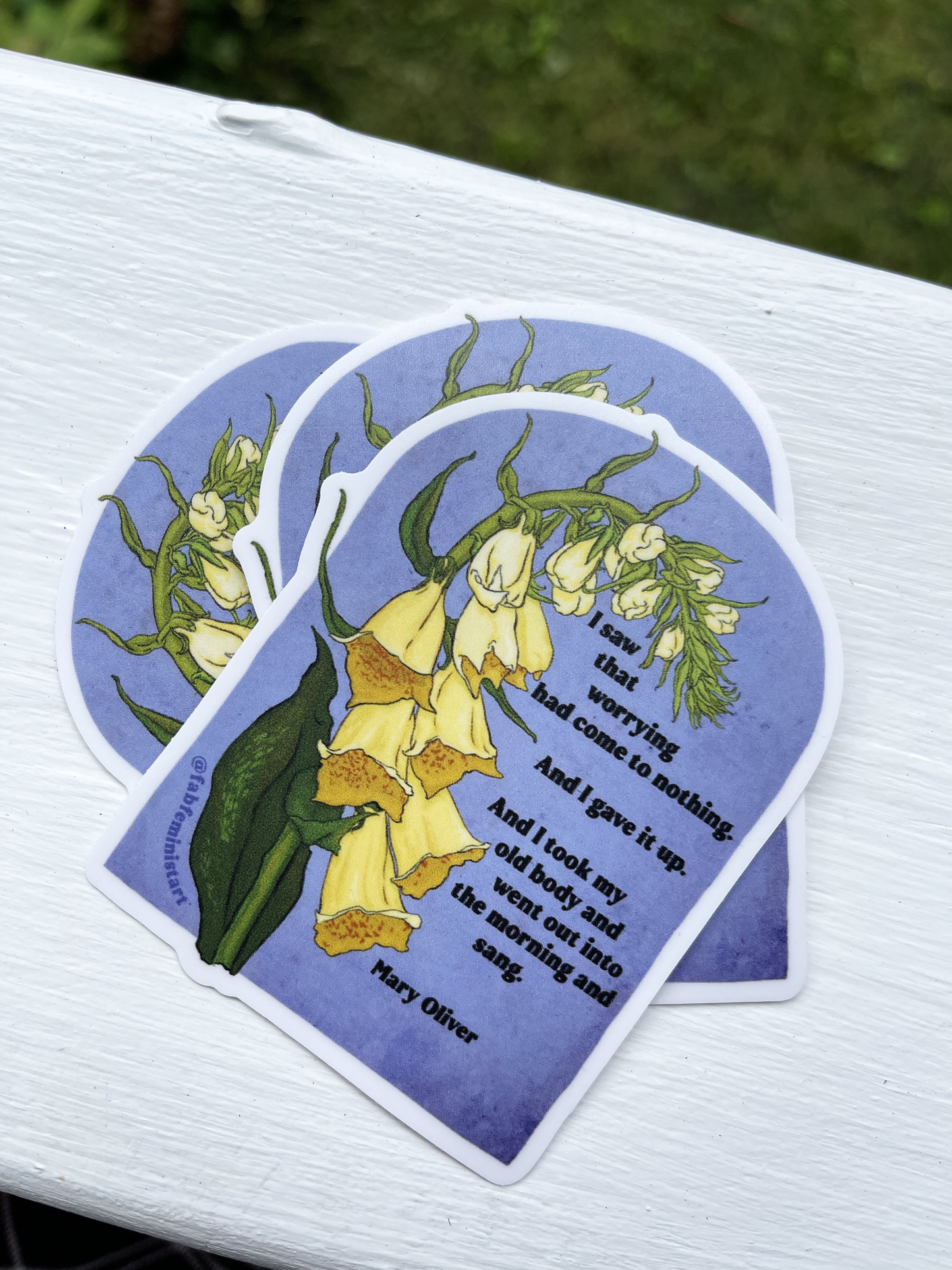 I saw that worrying had come to nothing, Mary Oliver: Feminist Sticker
