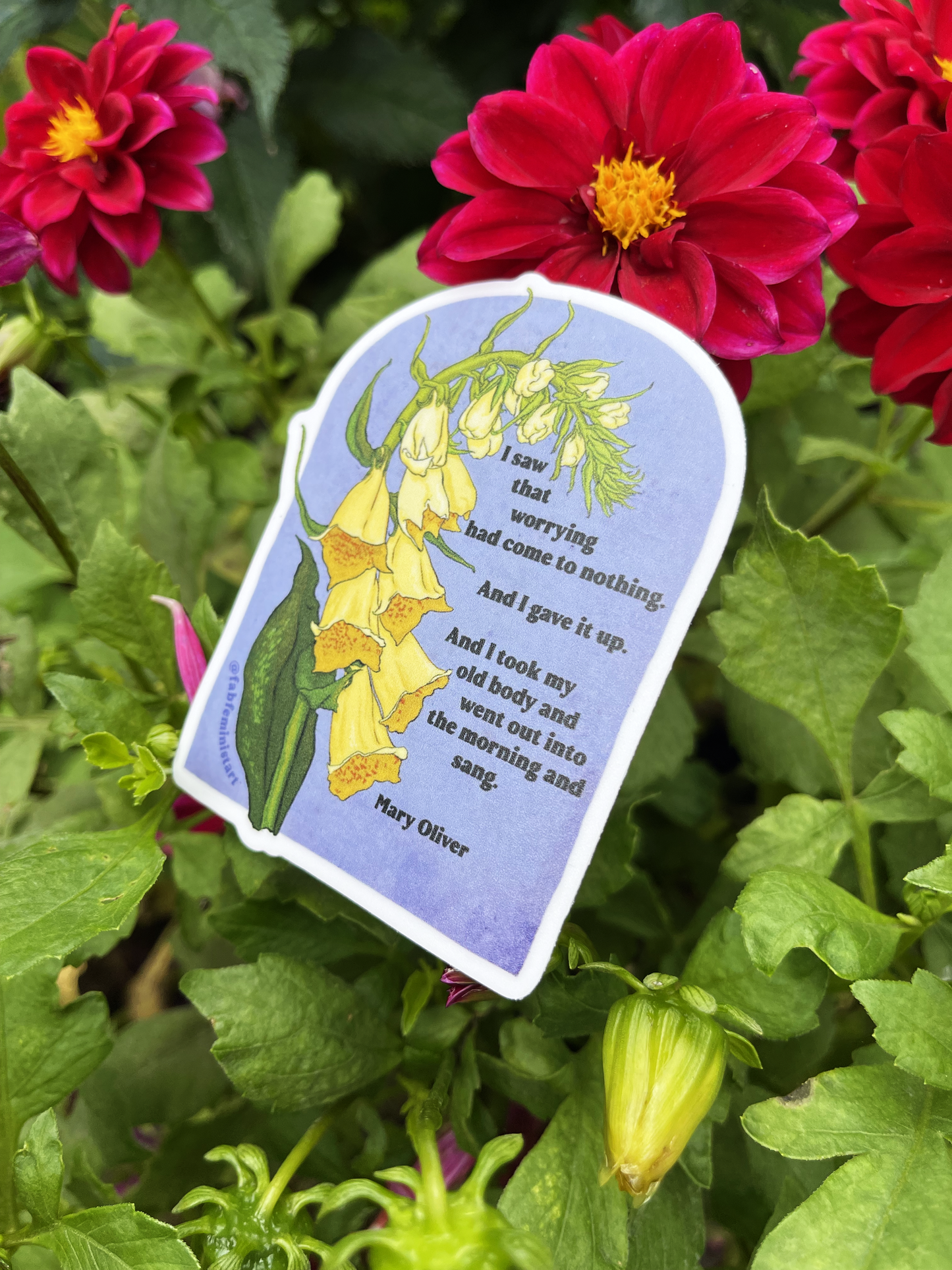 I saw that worrying had come to nothing, Mary Oliver: Feminist Sticker