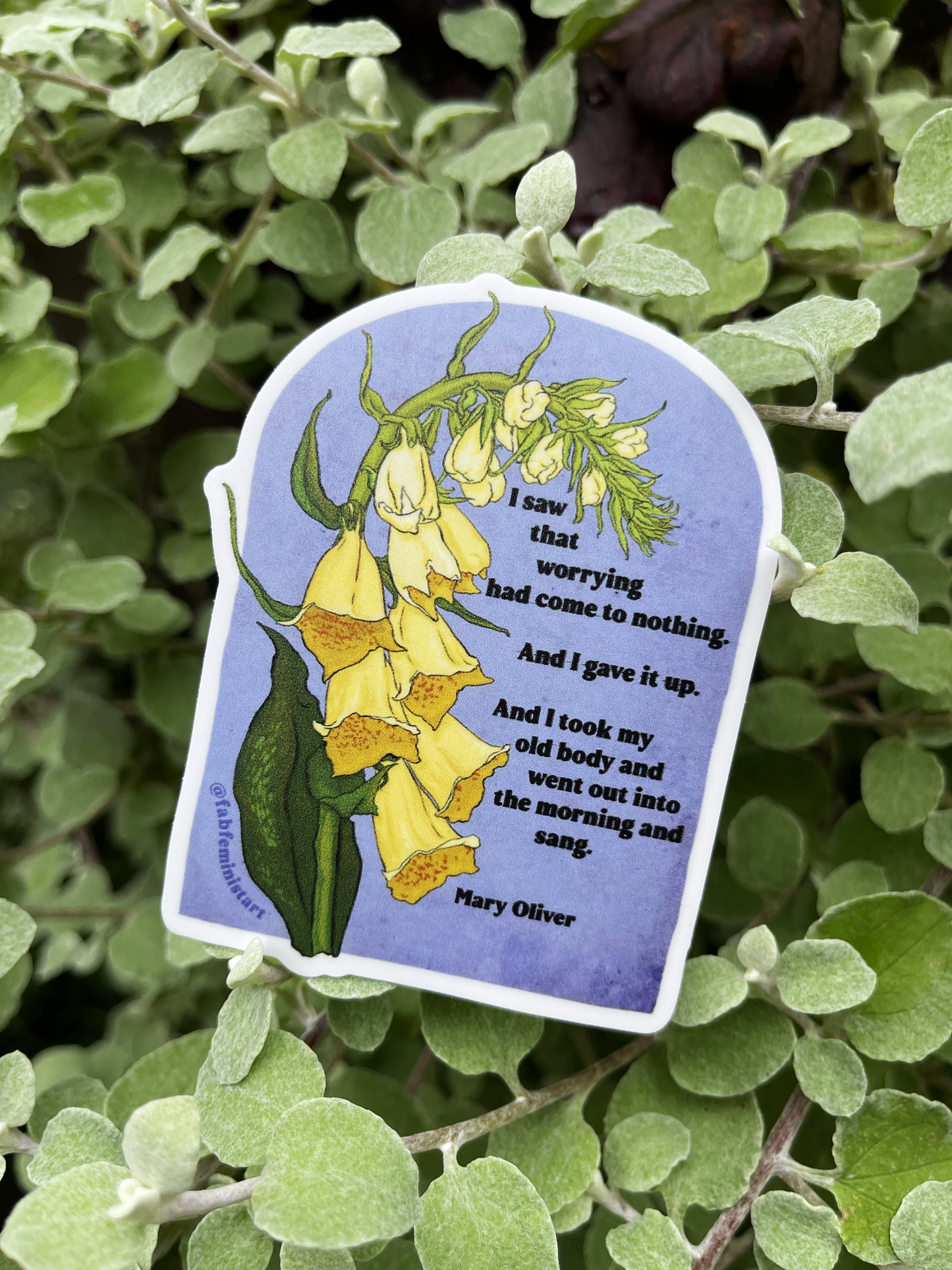 I saw that worrying had come to nothing, Mary Oliver: Feminist Sticker