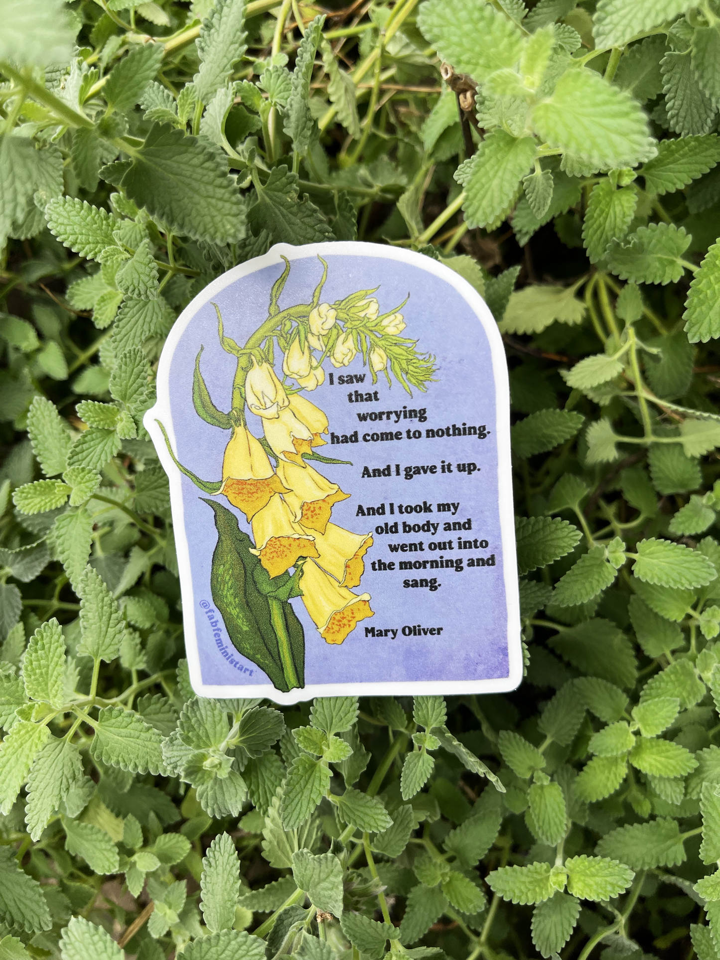 I saw that worrying had come to nothing, Mary Oliver: Feminist Sticker