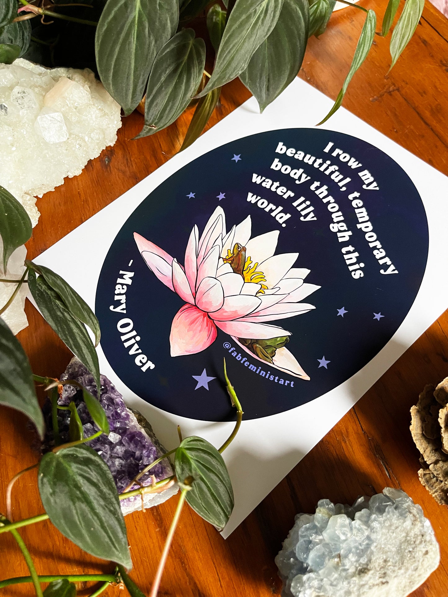 I row my beautiful, temporary body through this water lily world, Mary Oliver: Feminist Art Print