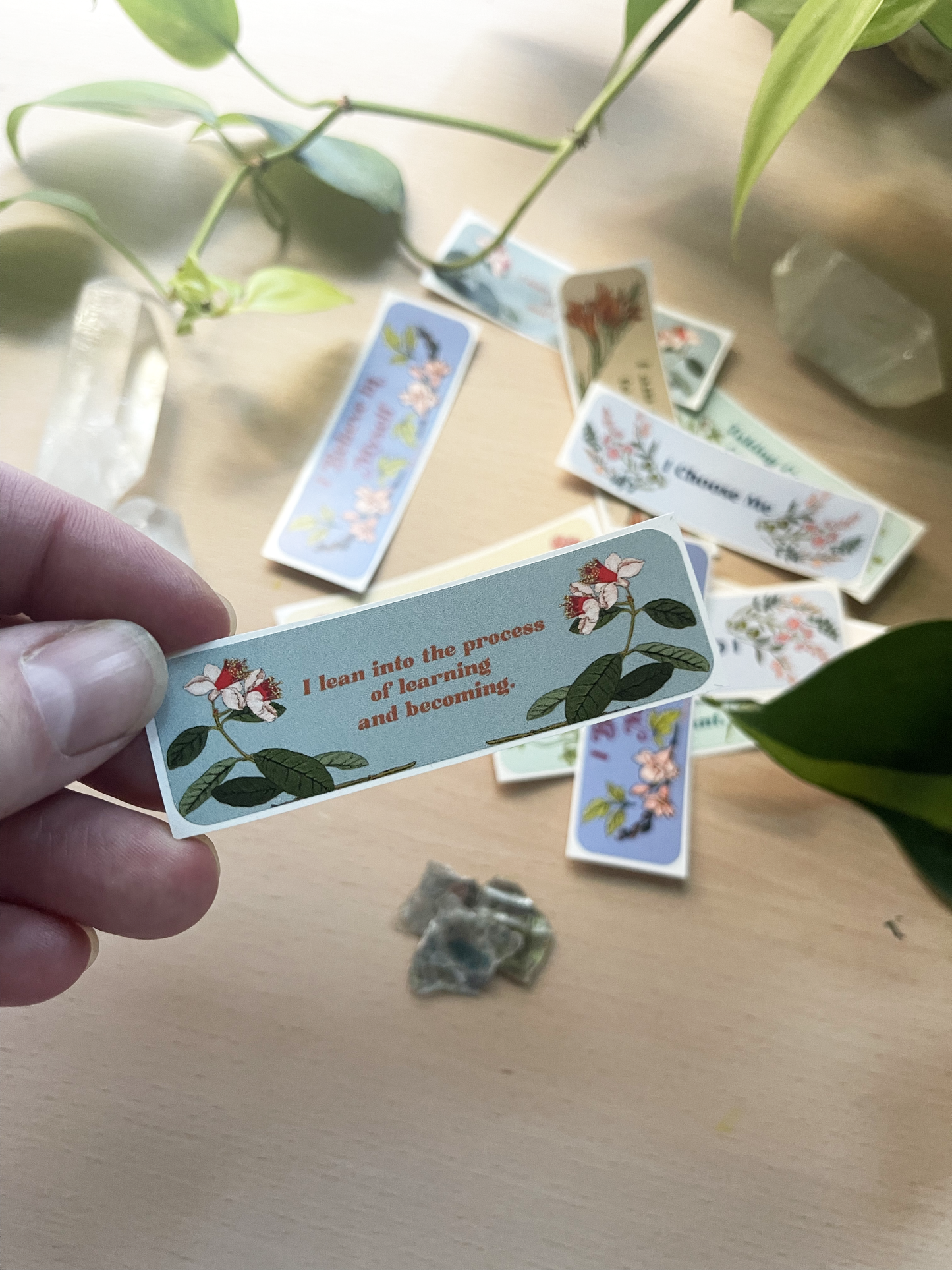 Taking Care Of Myself Is Important: Affirmation Sticker Pack