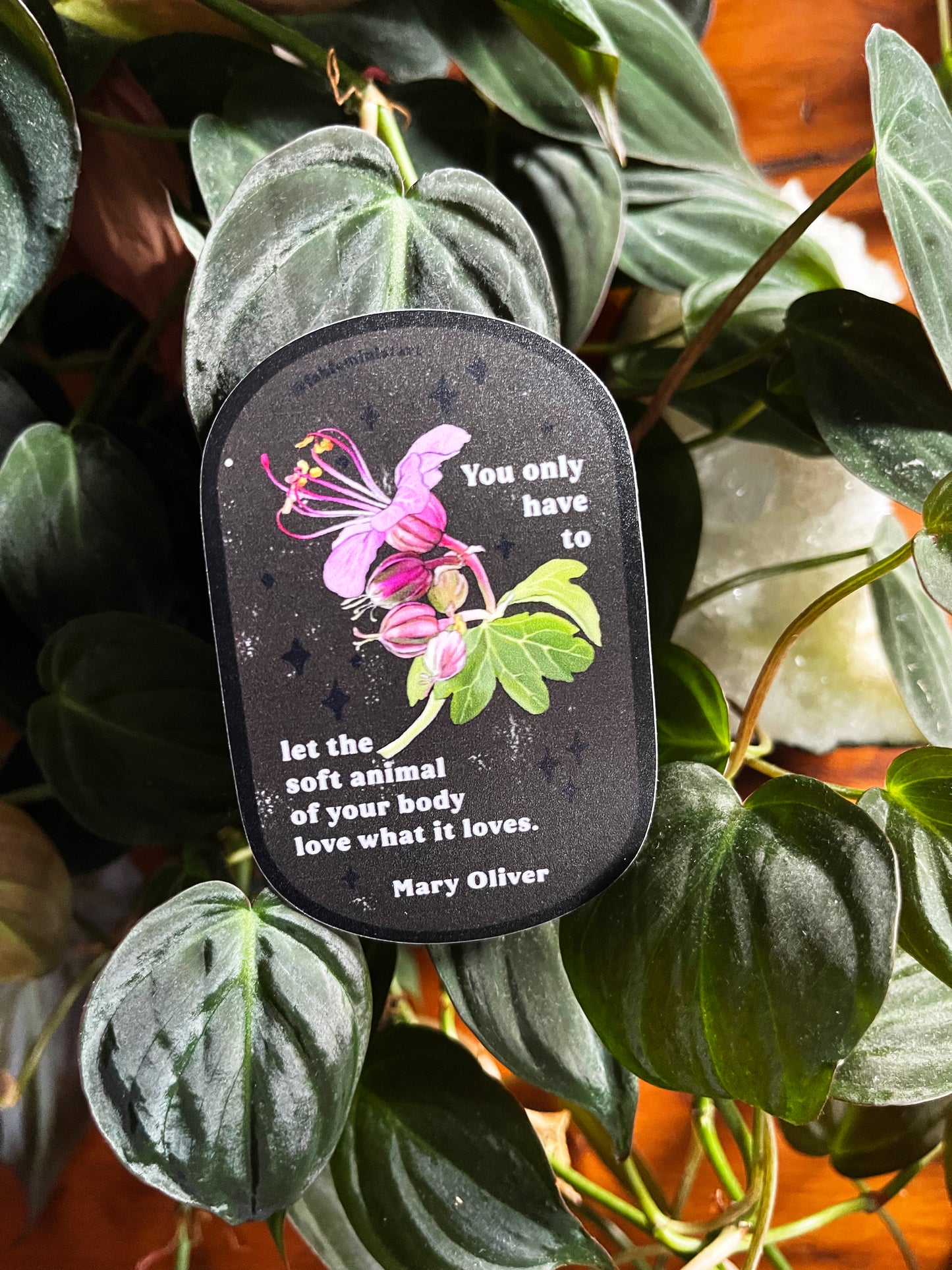 You only have to let the soft animal of your body love what it loves: Mary Oliver: Feminist Sticker