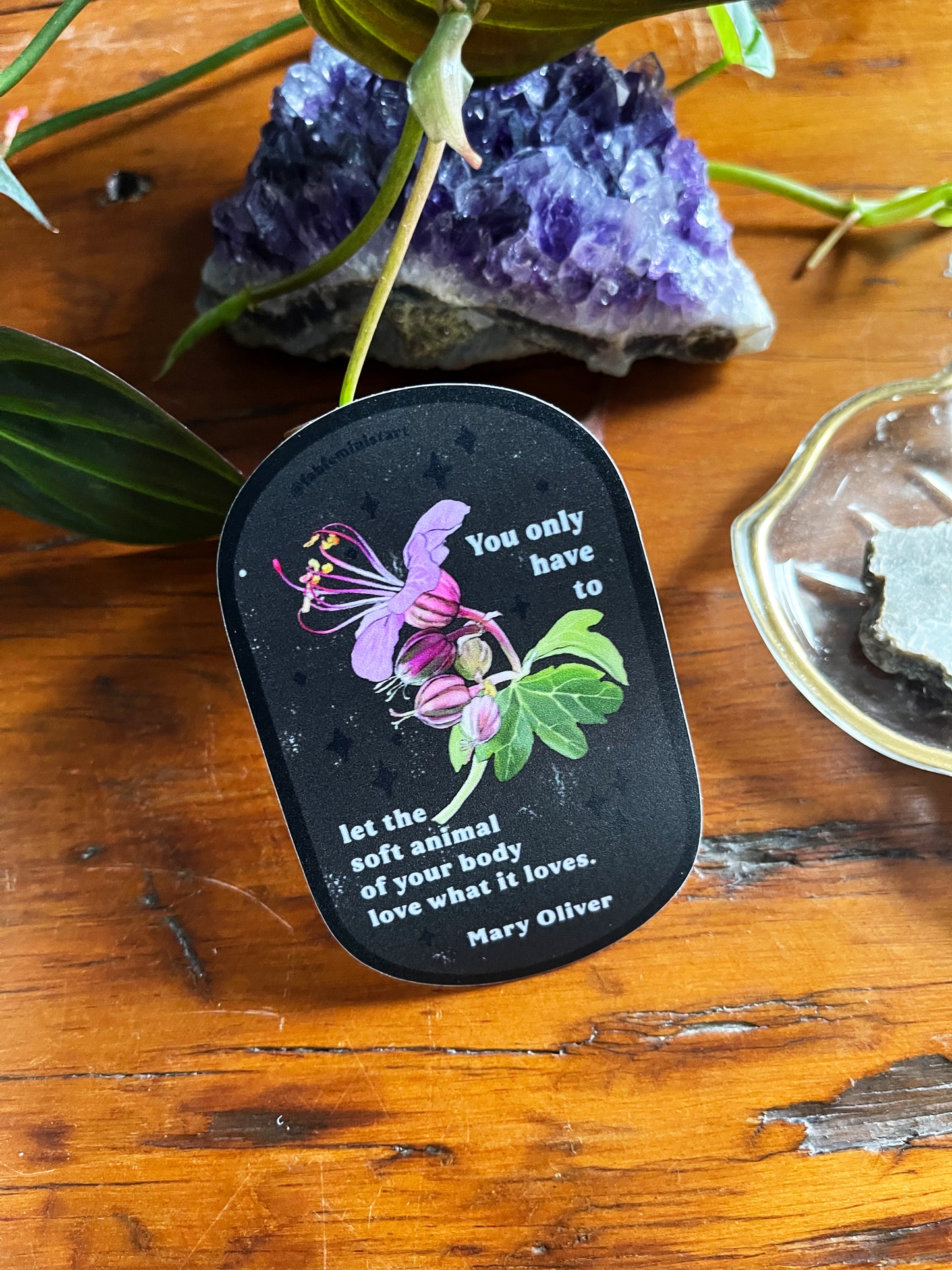 You only have to let the soft animal of your body love what it loves: Mary Oliver: Feminist Sticker