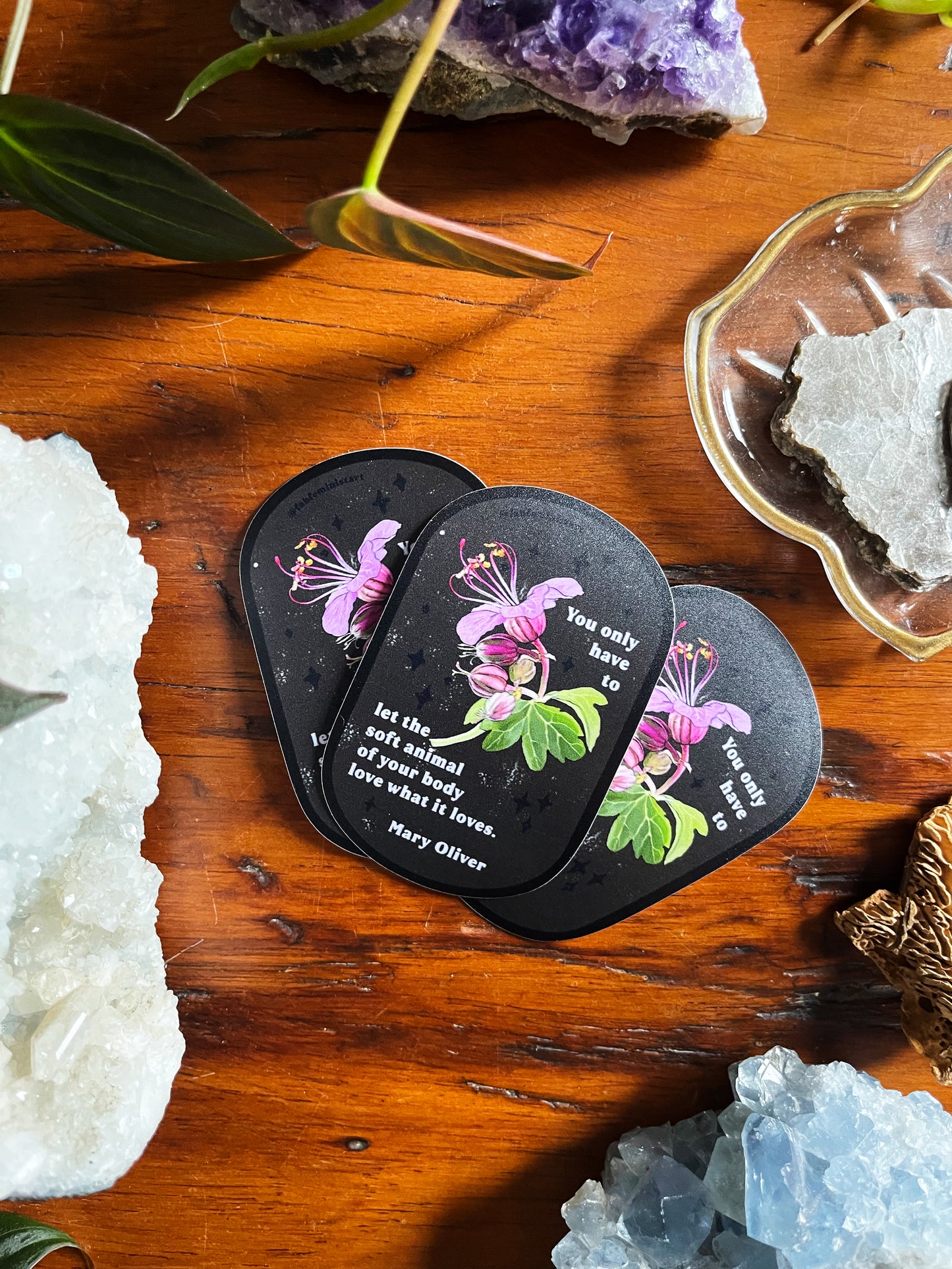 You only have to let the soft animal of your body love what it loves: Mary Oliver: Feminist Sticker