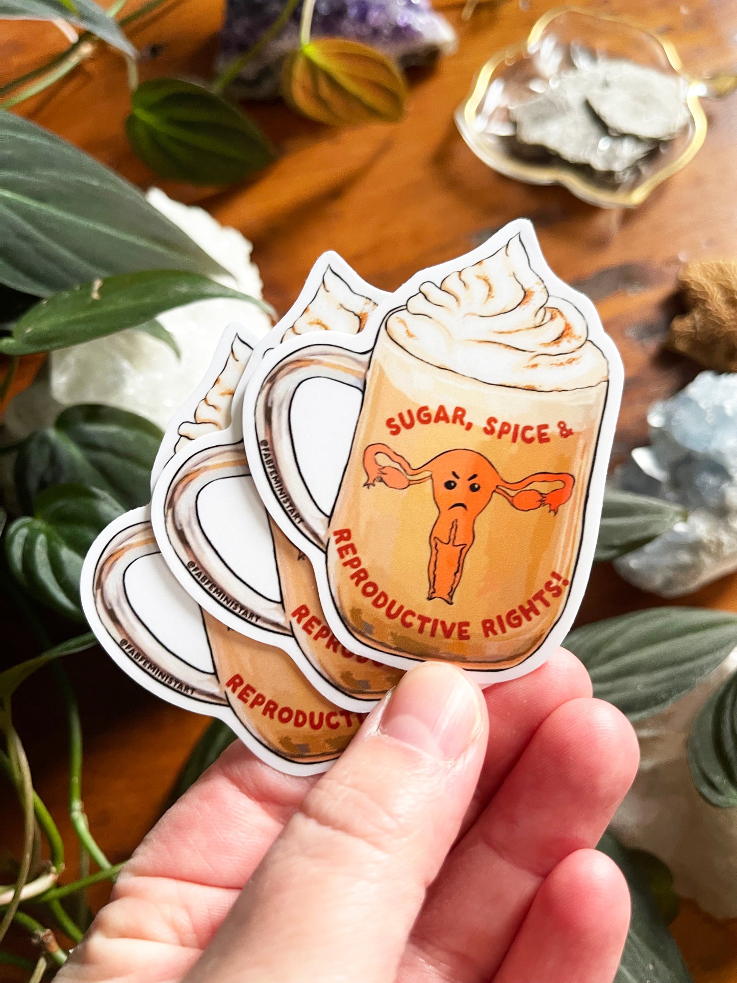 Sugar Spice and Reproductive Rights: Feminist Sticker