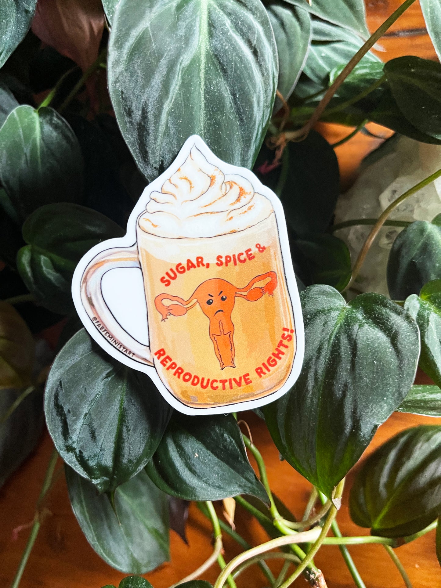 Sugar Spice and Reproductive Rights: Feminist Sticker
