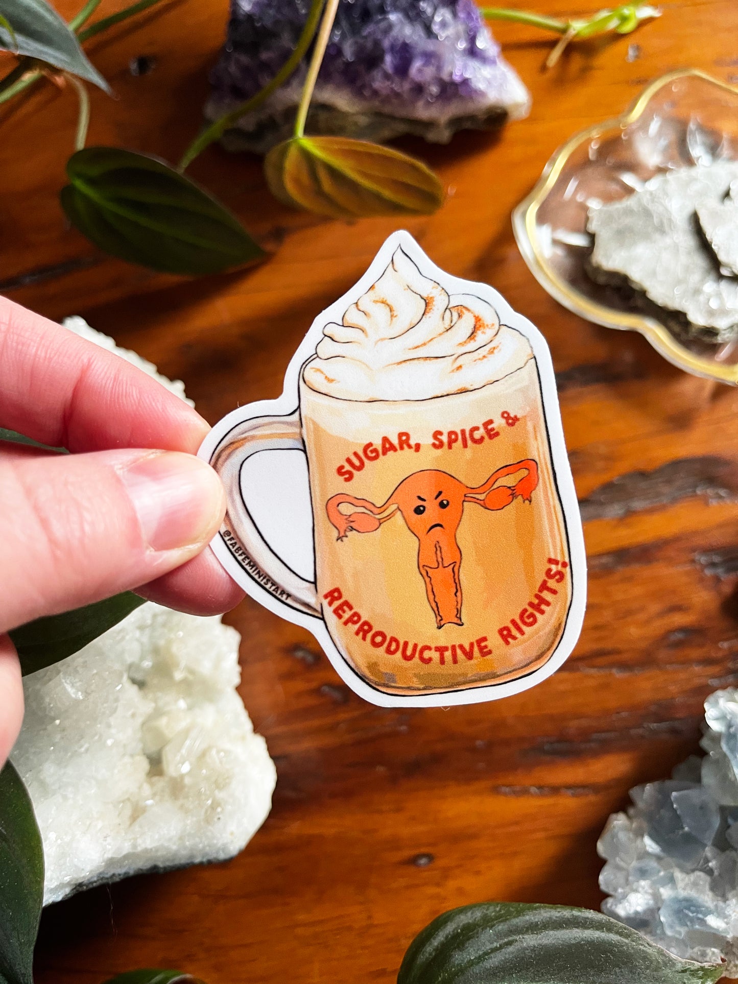 Sugar Spice and Reproductive Rights: Feminist Sticker