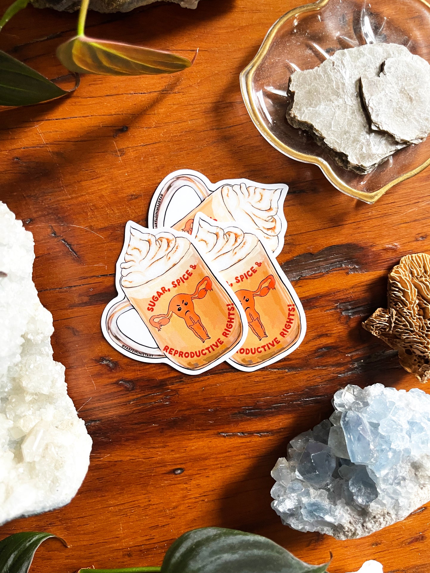 Sugar Spice and Reproductive Rights: Feminist Sticker