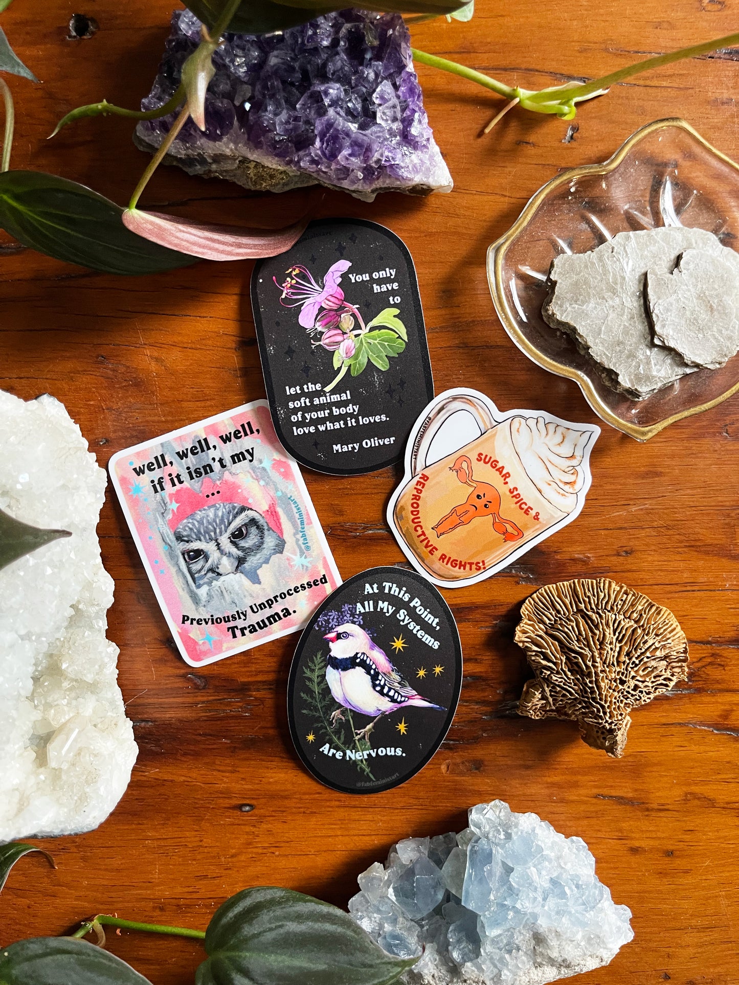 You only have to let the soft animal of your body love what it loves: Mary Oliver: Feminist Sticker