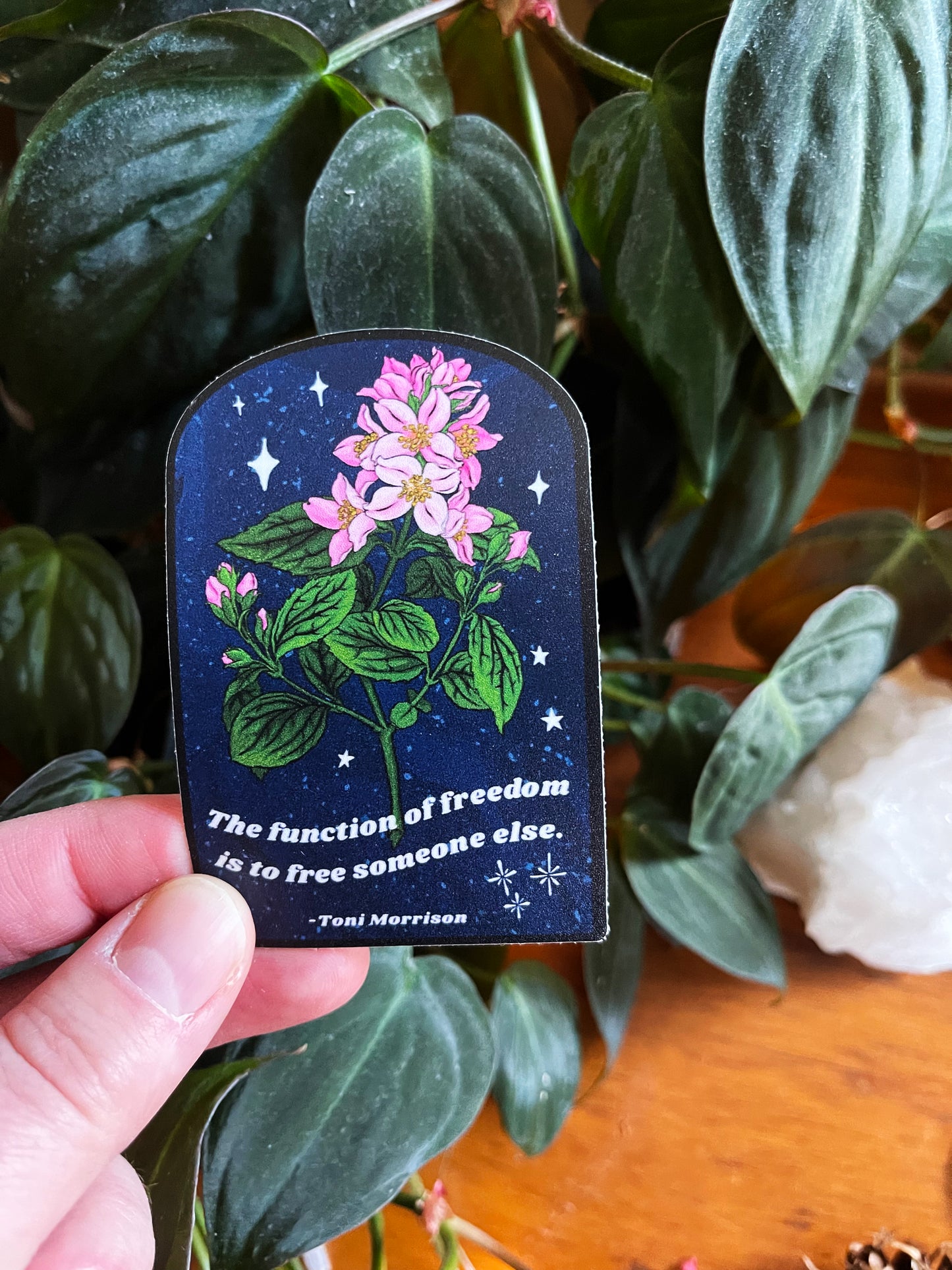 The function of freedom is to free somebody else, Toni Morrison: feminist sticker
