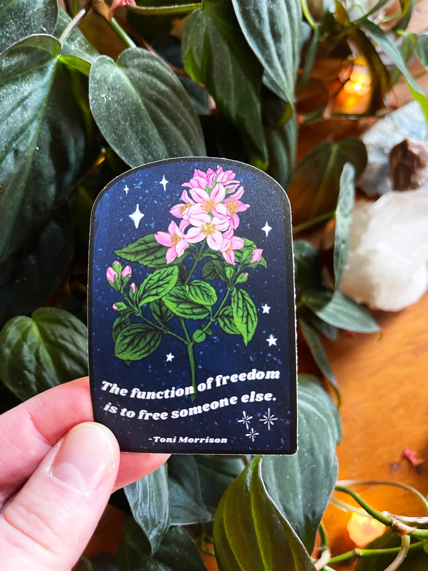 The function of freedom is to free somebody else, Toni Morrison: feminist sticker