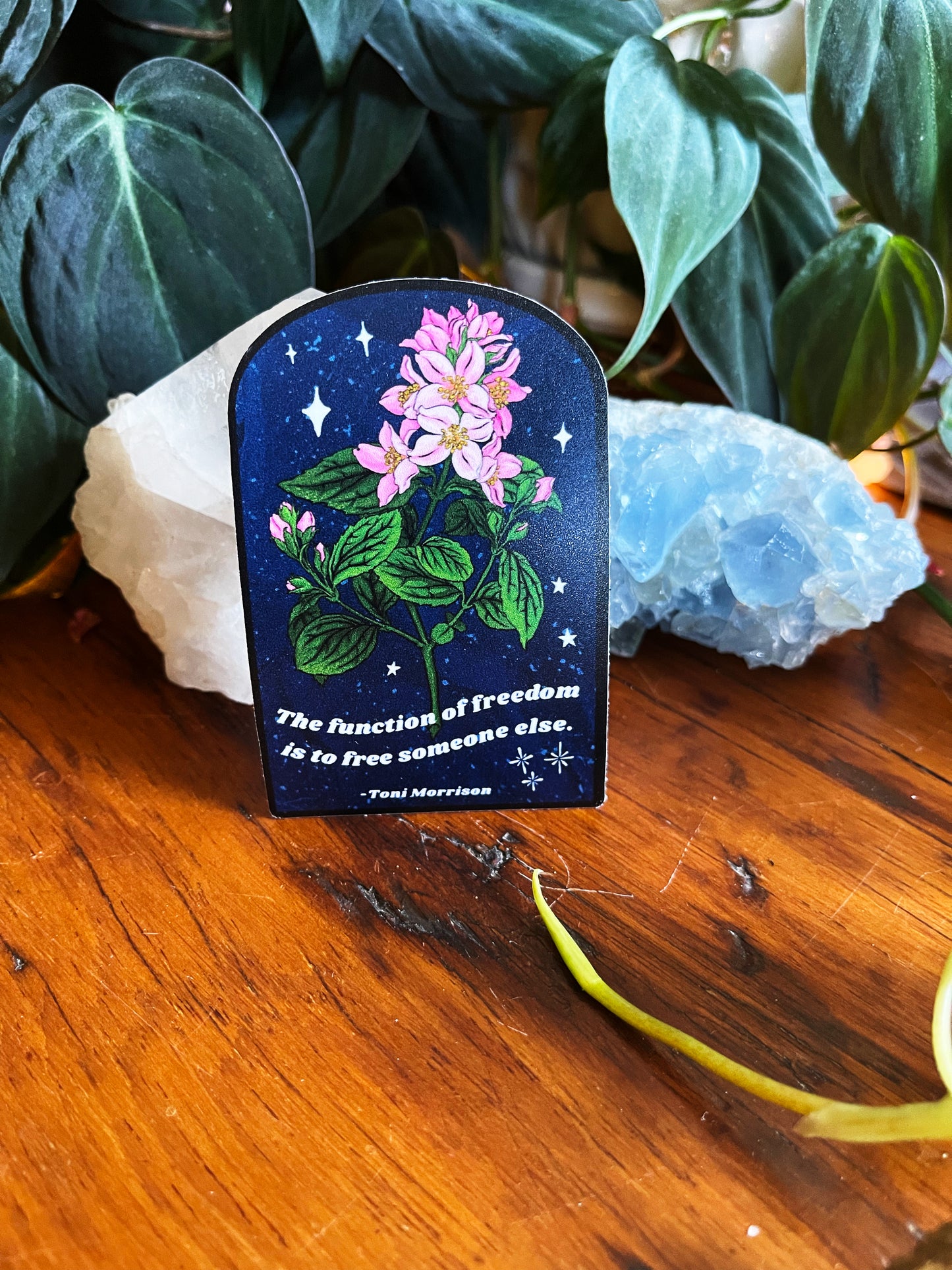 The function of freedom is to free somebody else, Toni Morrison: feminist sticker