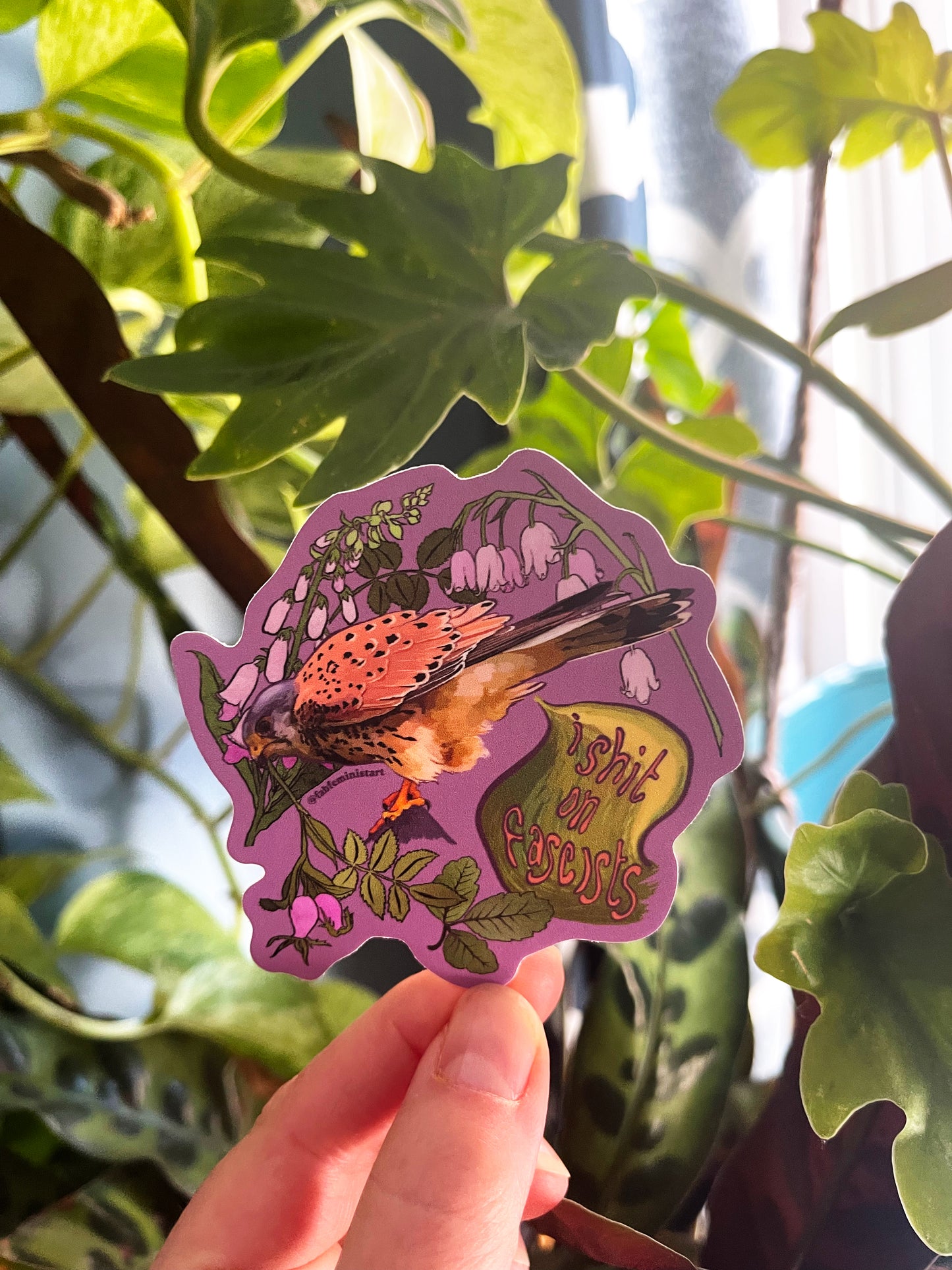 I Shit On Fascists: Mental Health Sticker