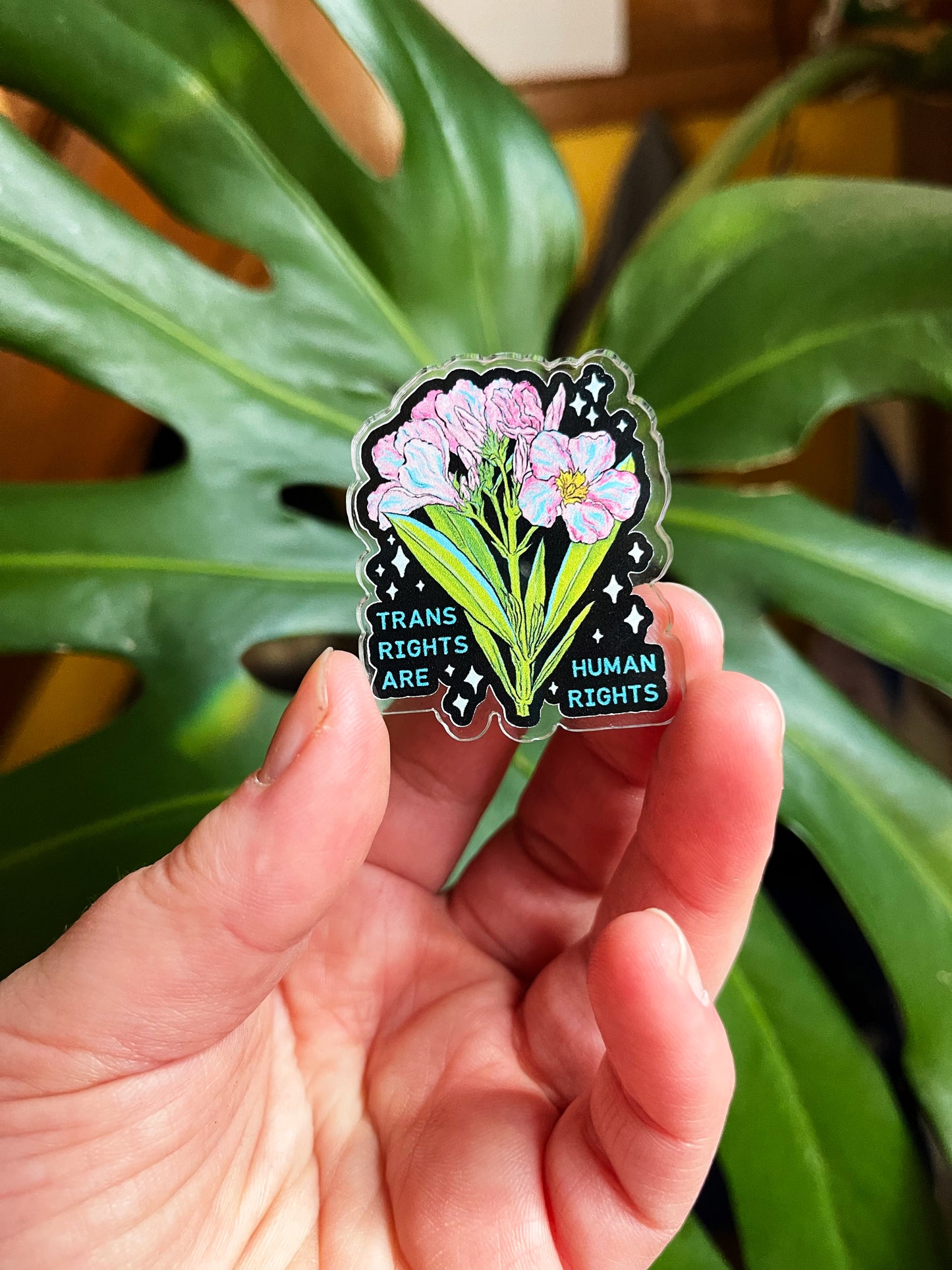 Trans Rights Are Human Rights: Acrylic Pride Pin