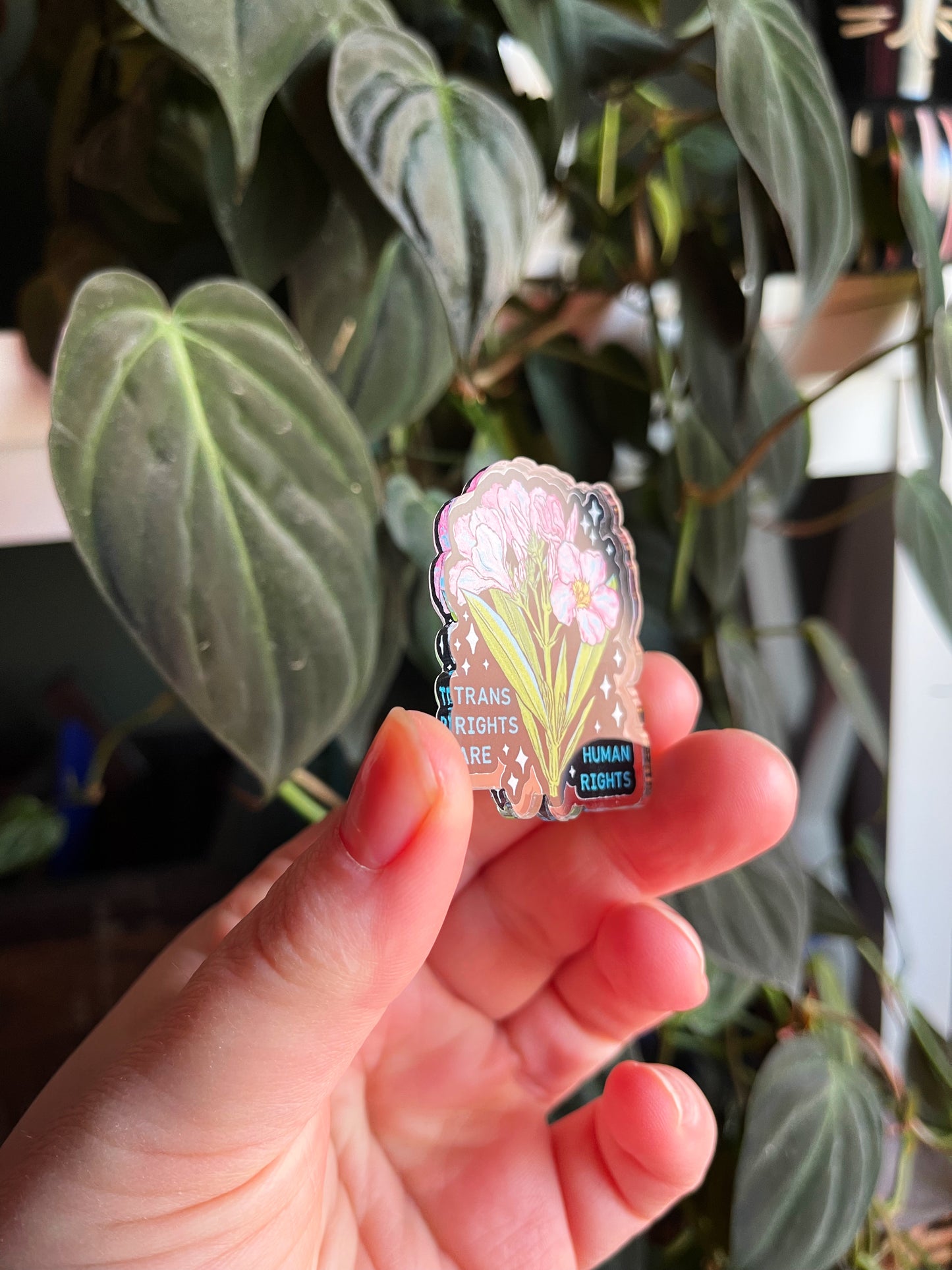 Trans Rights Are Human Rights: Acrylic Pride Pin
