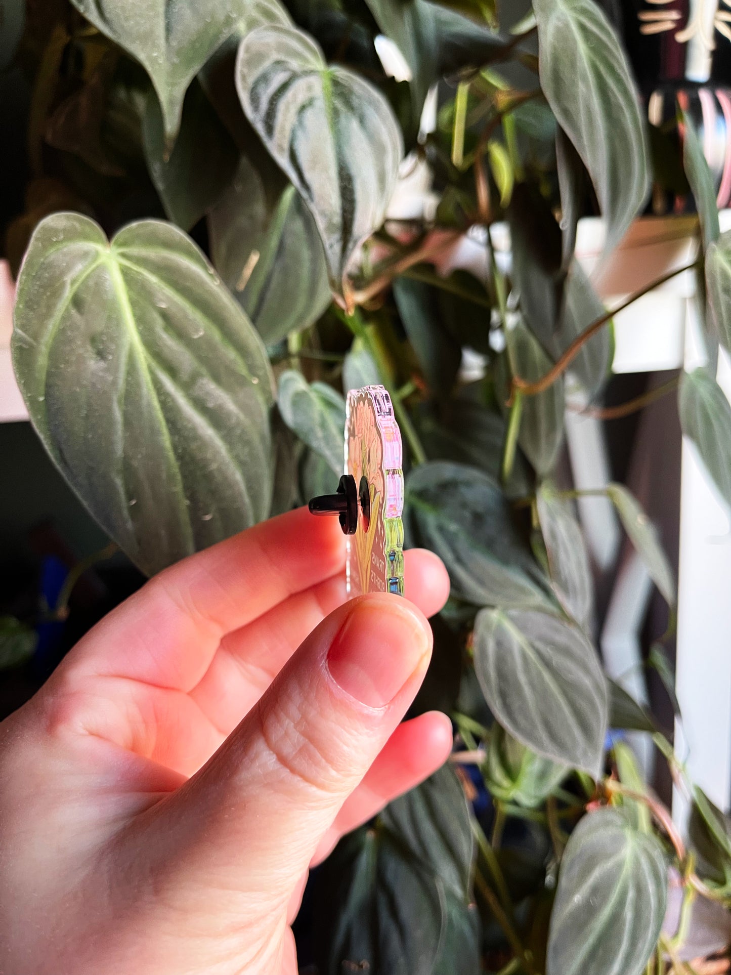 Trans Rights Are Human Rights: Acrylic Pride Pin