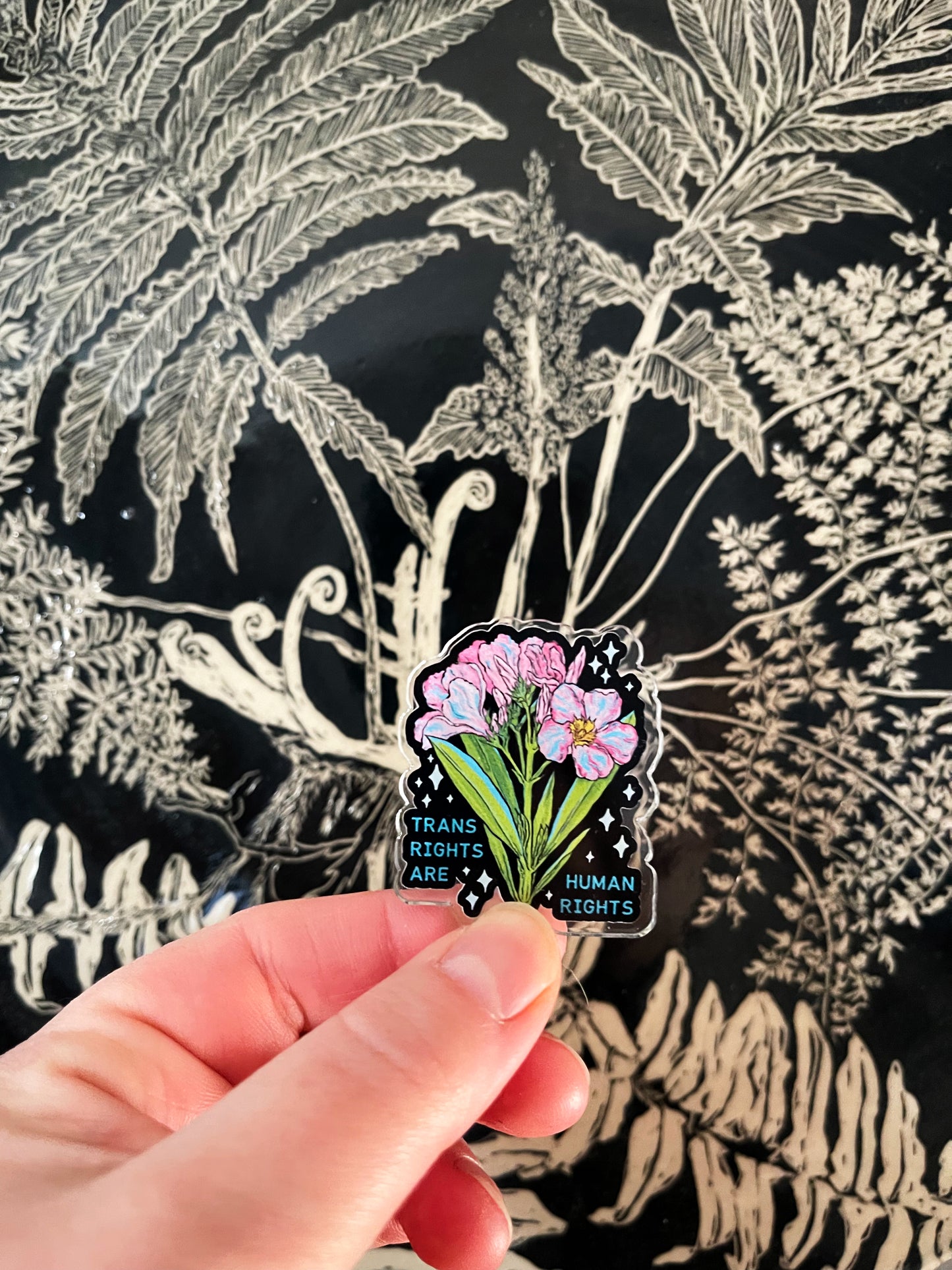Trans Rights Are Human Rights: Acrylic Pride Pin