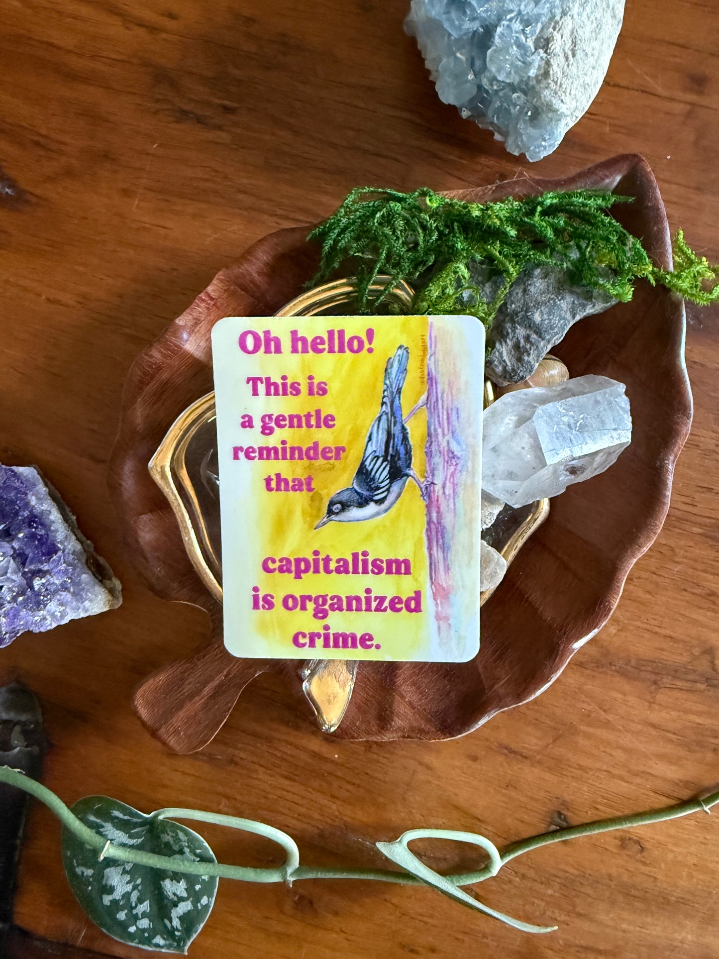Oh hello this is a gentle reminder that capitalism is organized crime: Feminist Sticker