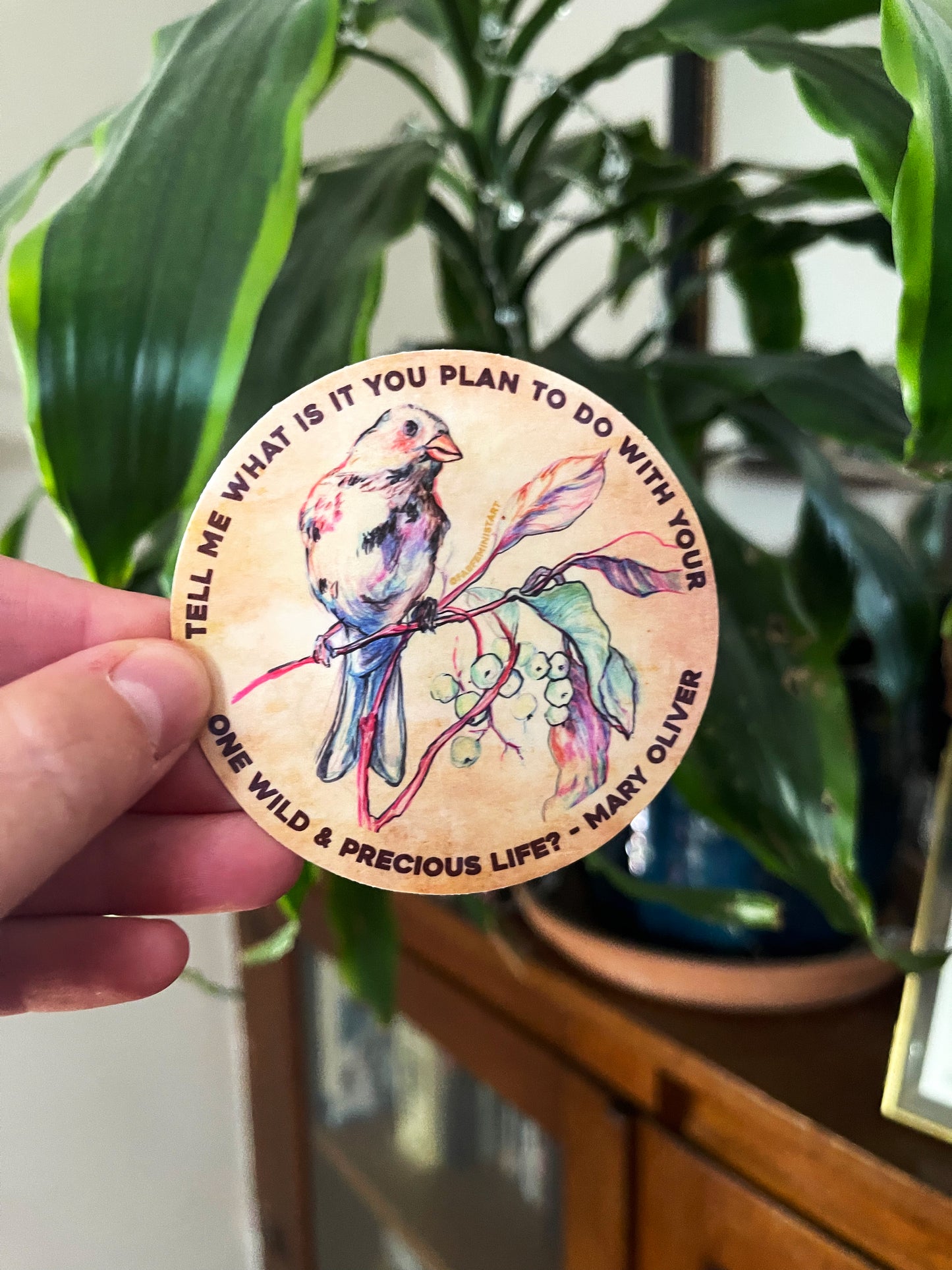 Tell me what is you plant to do with your one wild & precious life, Mary Oliver: Feminist Sticker
