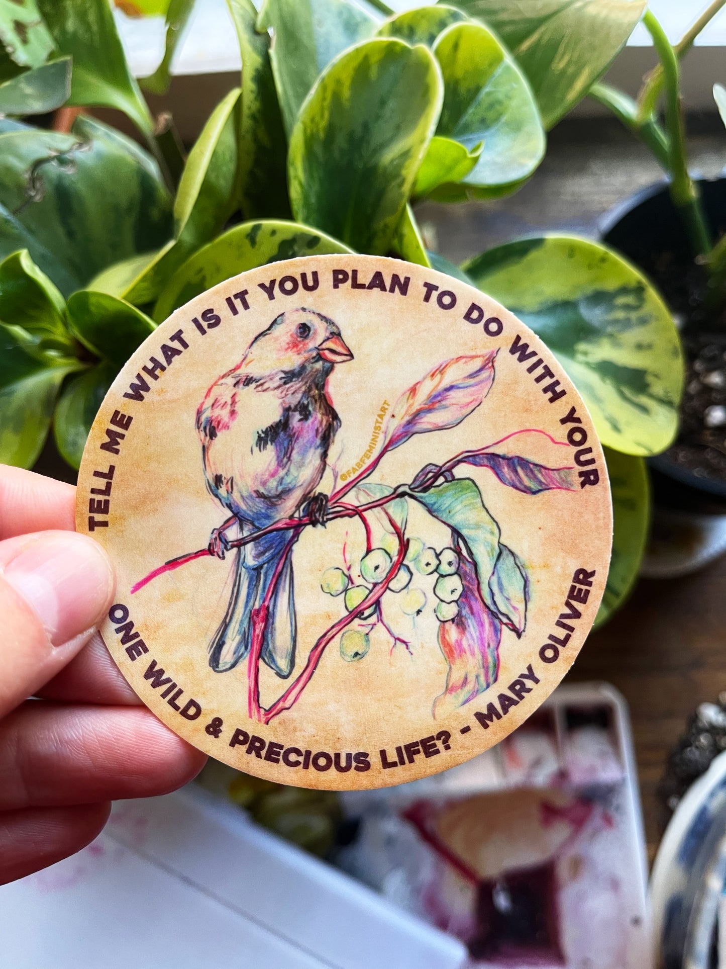 Tell me what is you plant to do with your one wild & precious life, Mary Oliver: Feminist Sticker