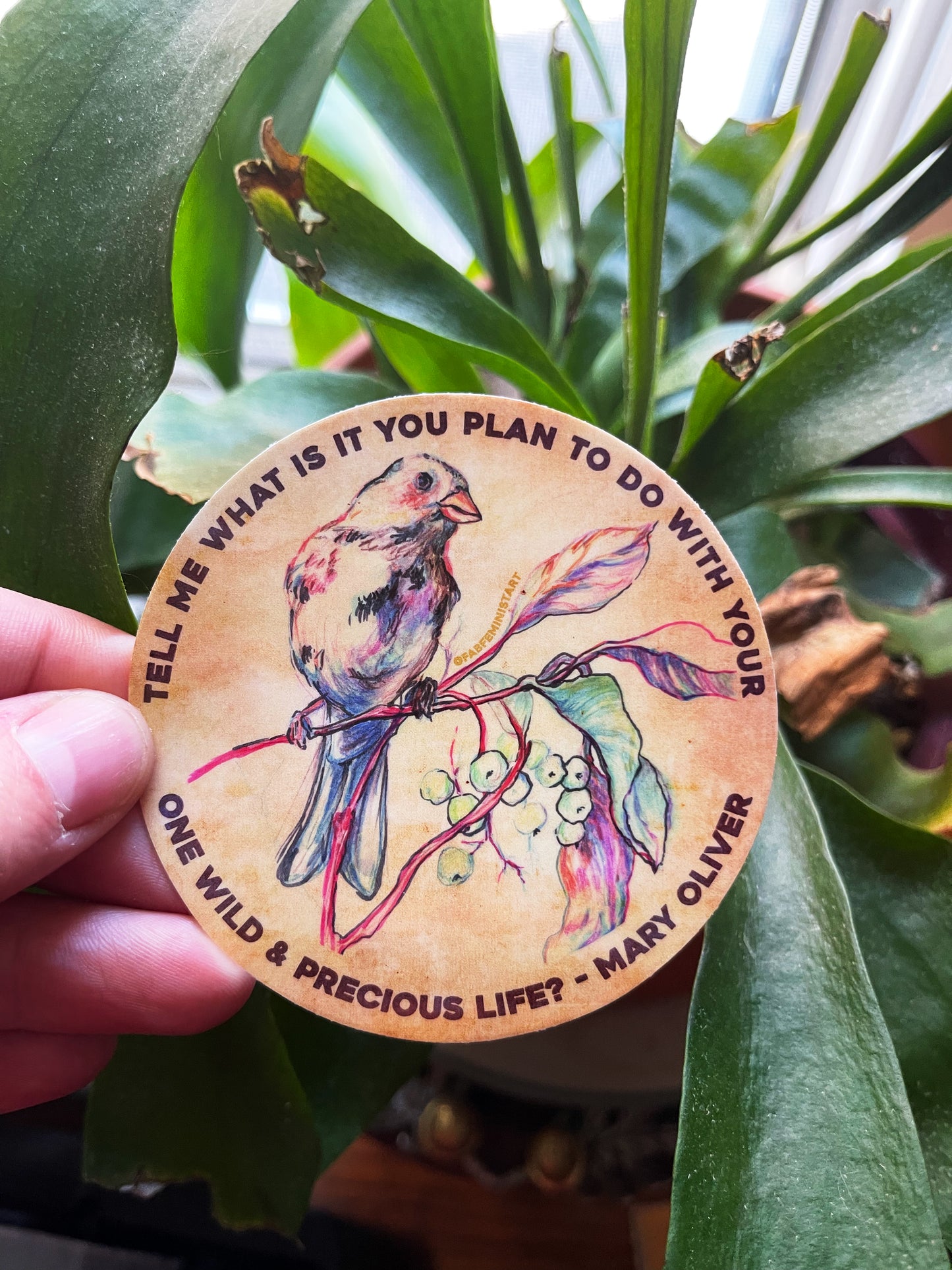 Tell me what is you plant to do with your one wild & precious life, Mary Oliver: Feminist Sticker